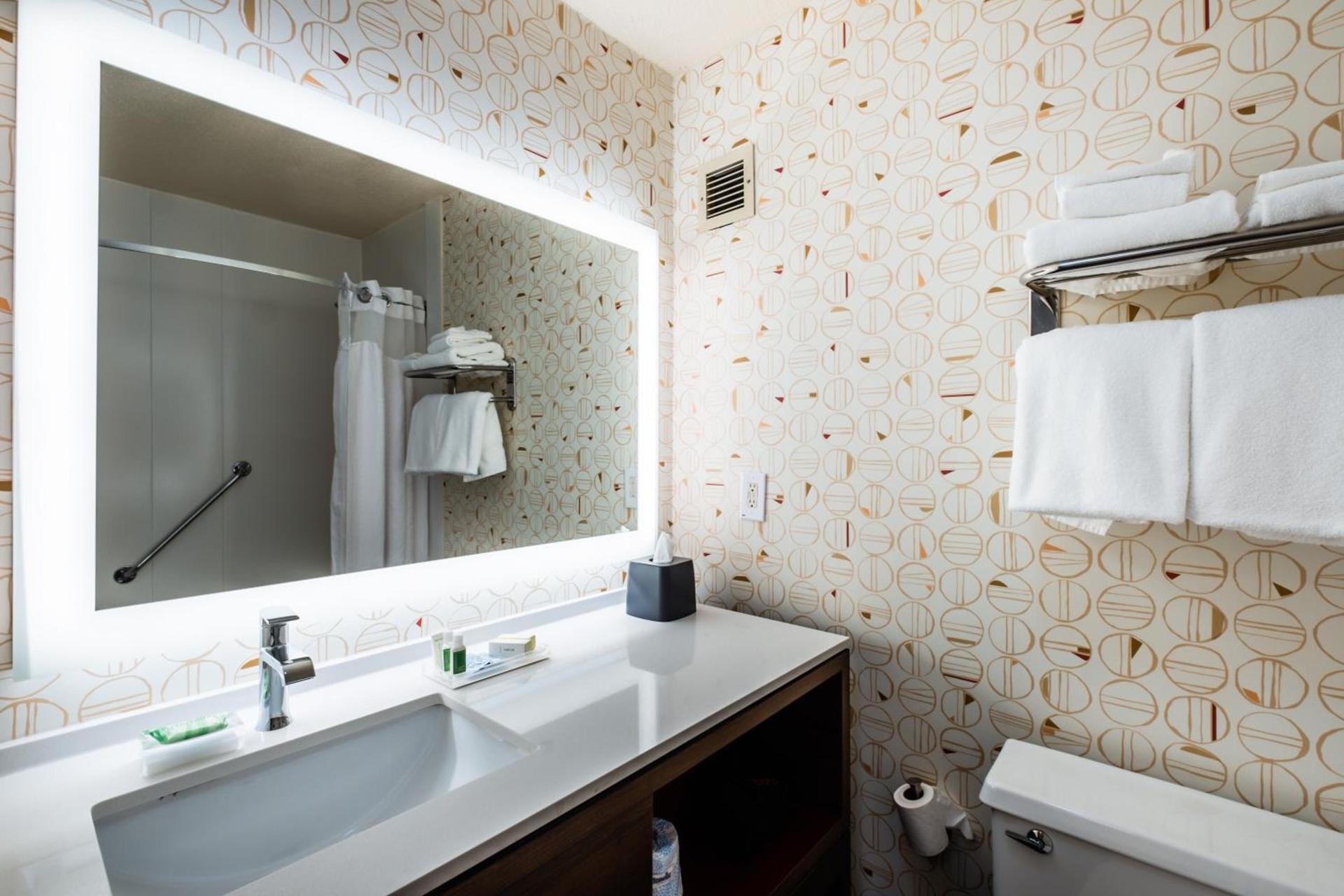 Holiday Inn Grand Haven-Spring Lake by IHG photo 18