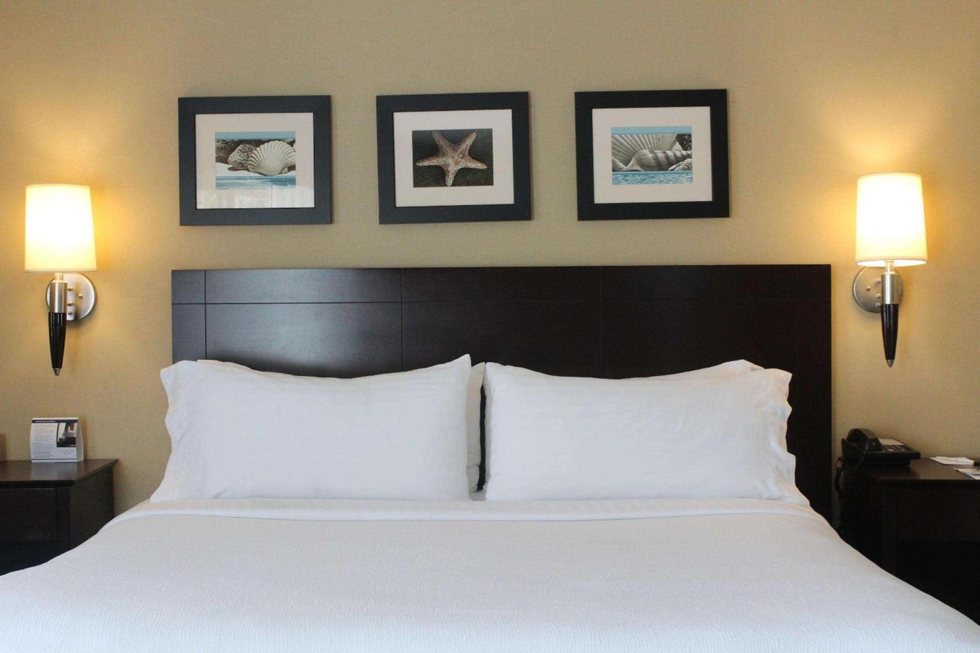 The Volare, an Ascend Collection Hotel photo 81