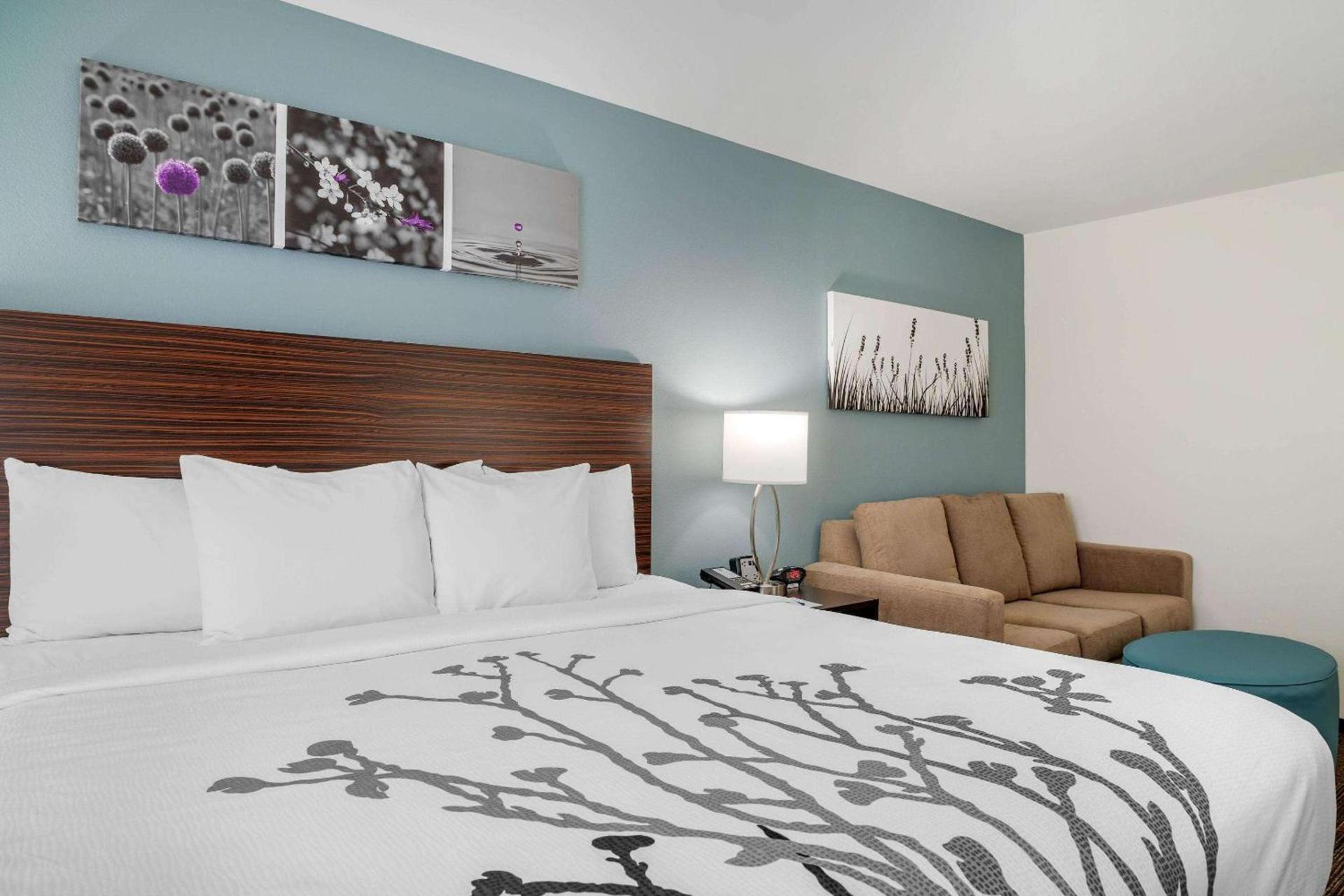 Sleep Inn & Suites near Westchase photo 24