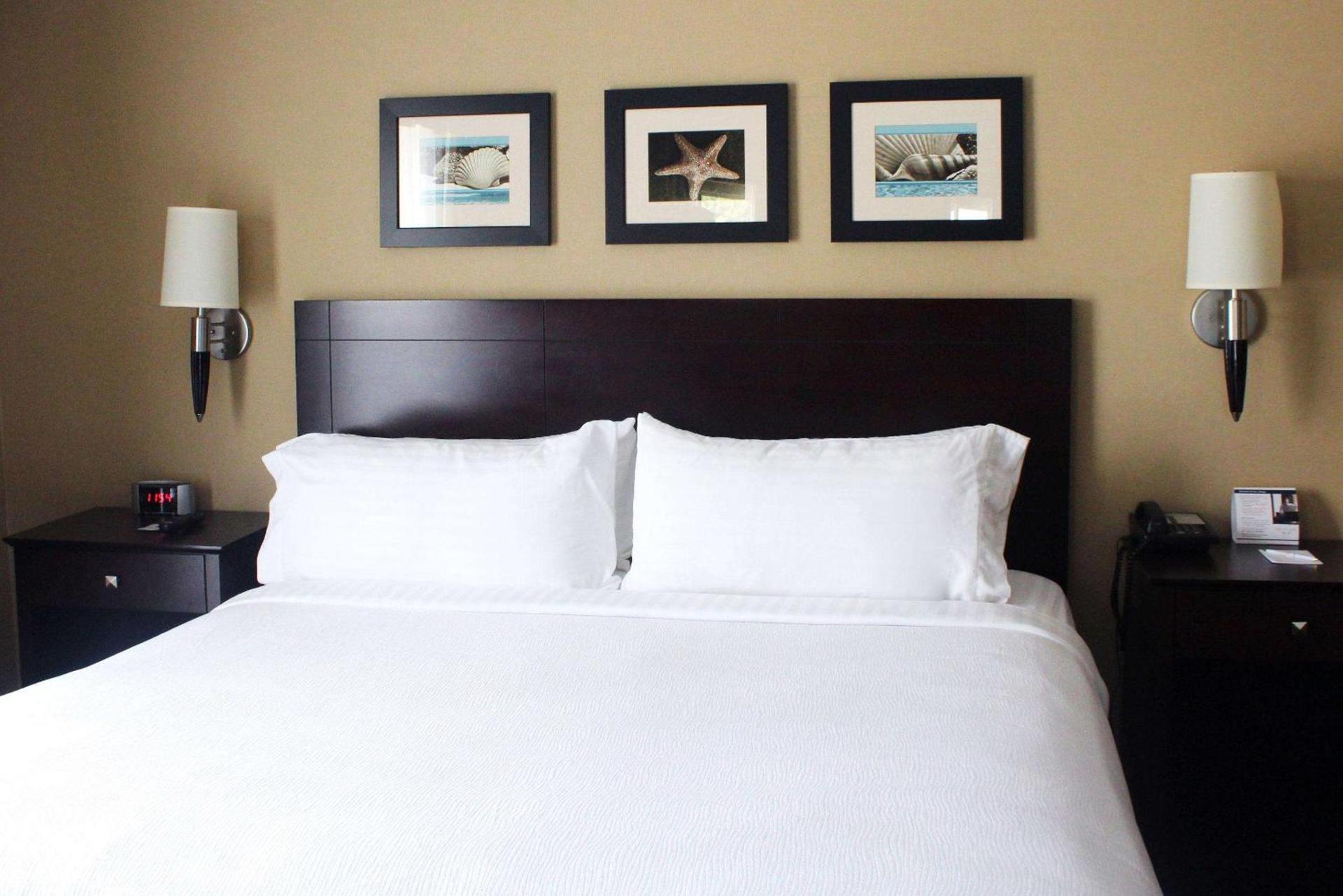 The Volare, an Ascend Collection Hotel photo 80