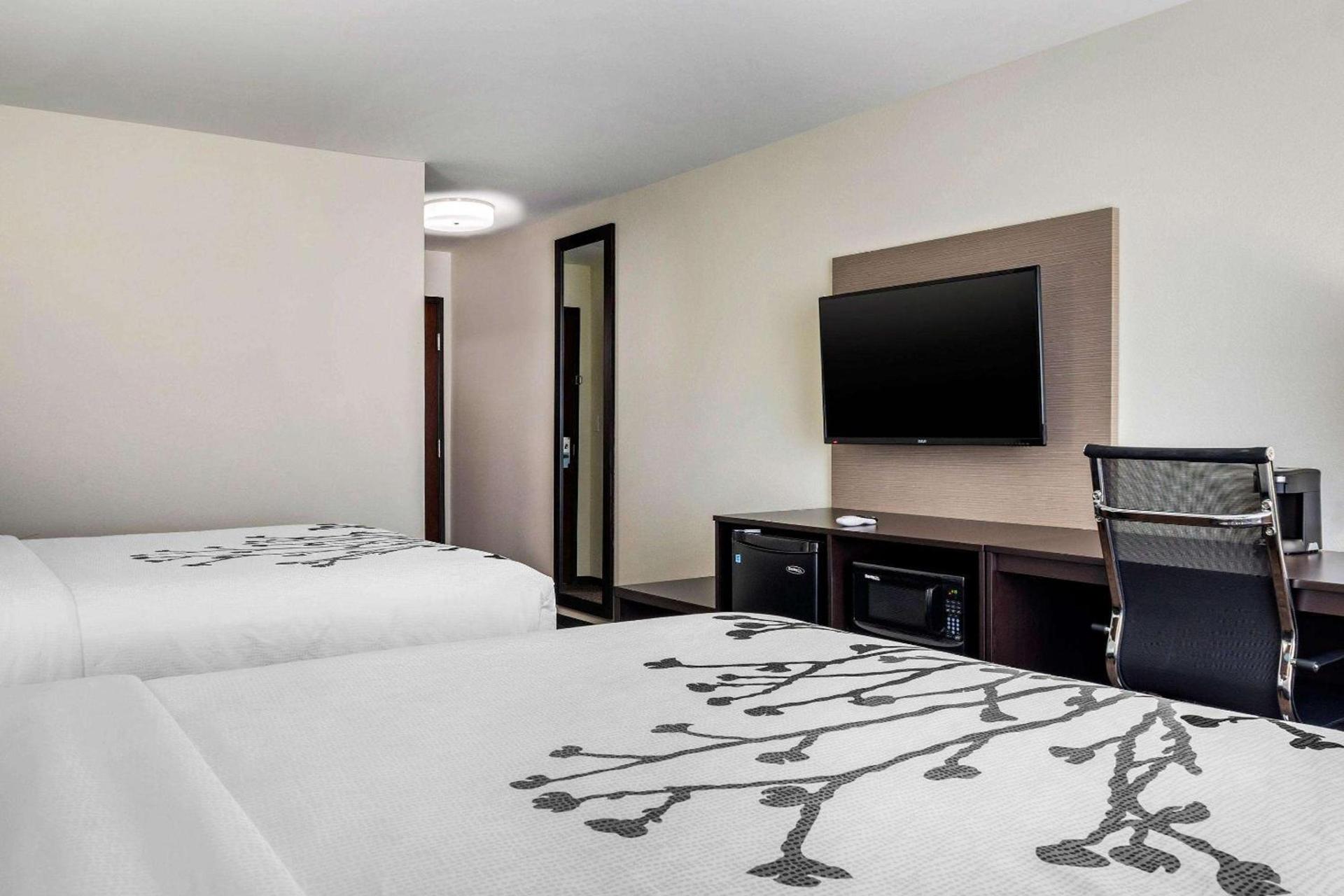 Sleep Inn & Suites near Westchase photo 22