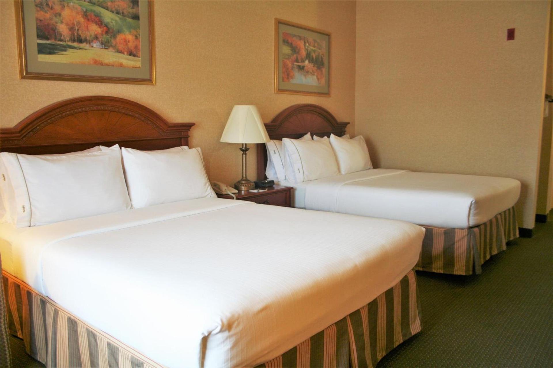 Holiday Inn Express Hotel & Suites Drums-Hazelton by IHG photo 22