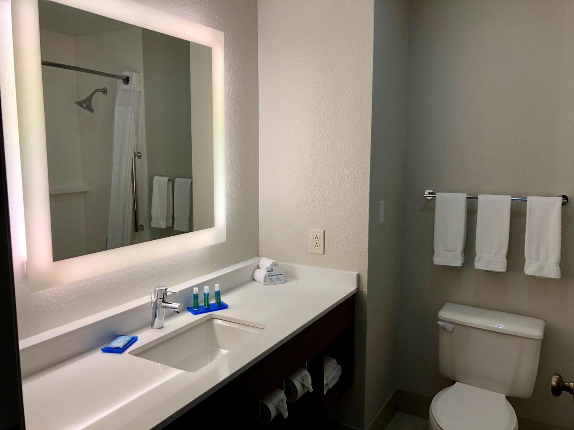 Holiday Inn Express Arlington Interstate 20 Parks Mall by IHG photo 42