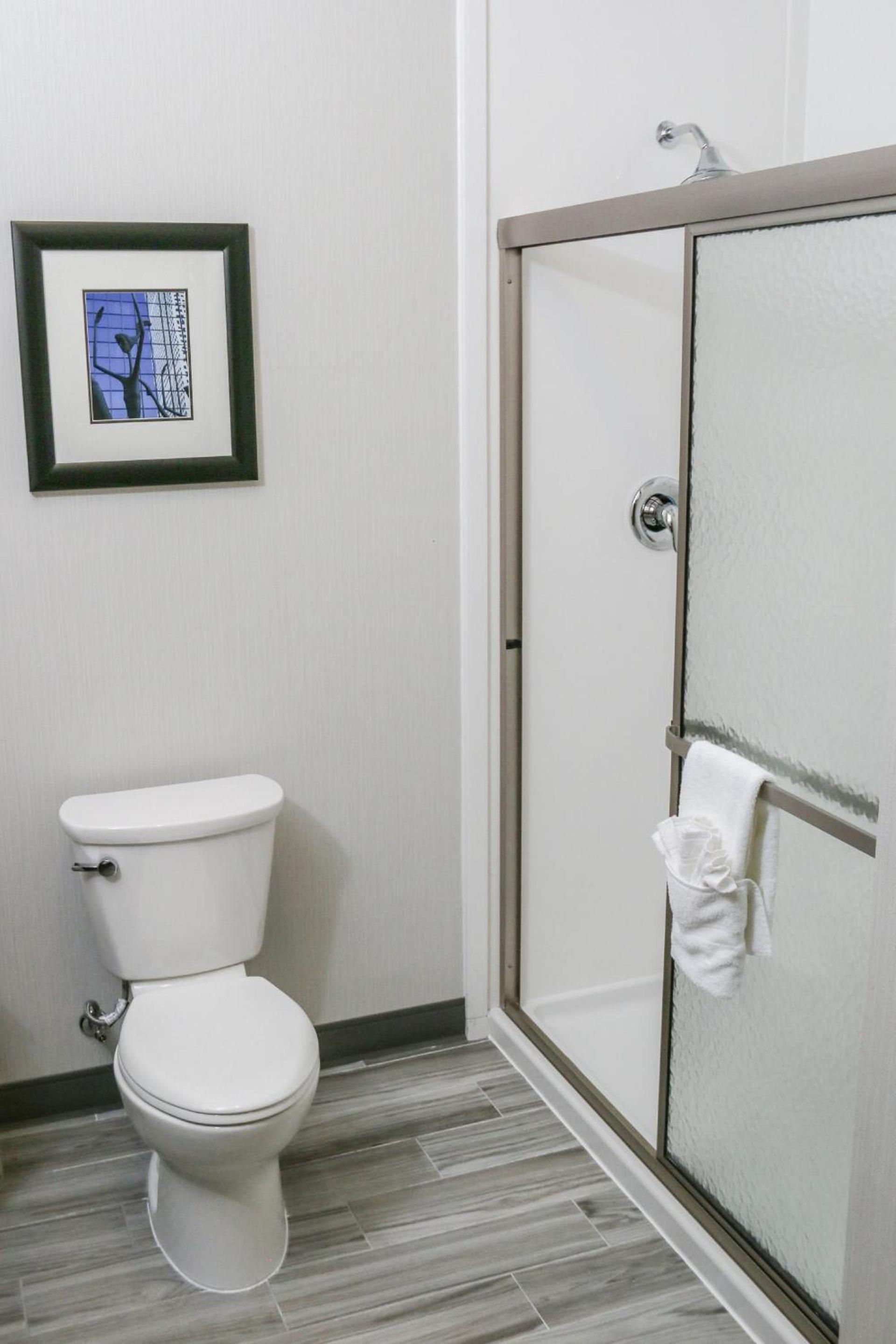 Holiday Inn & Suites Denver Tech Center-Centennial by IHG photo 17
