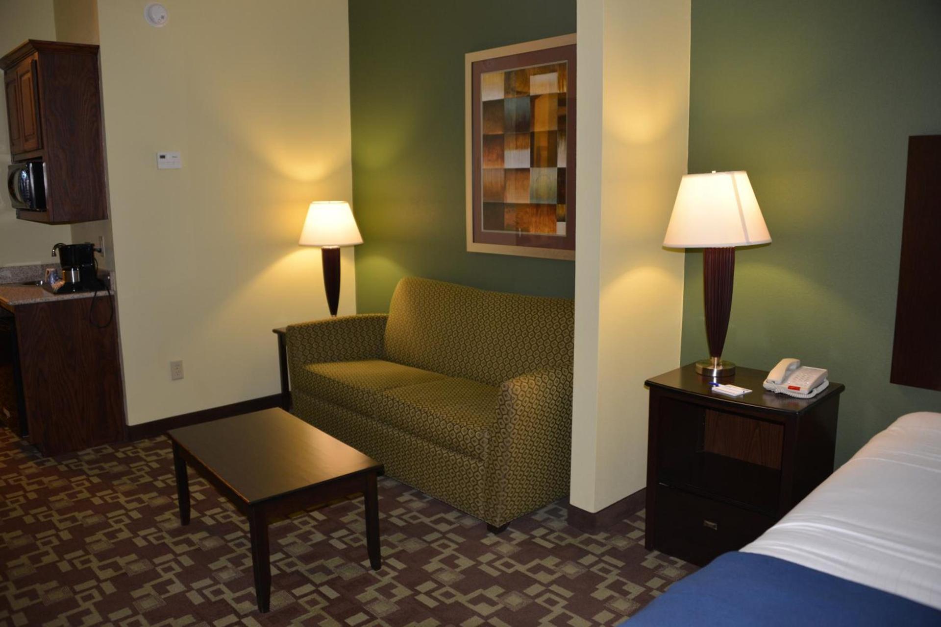 Holiday Inn Express Hotel & Suites Dumas by IHG photo 10