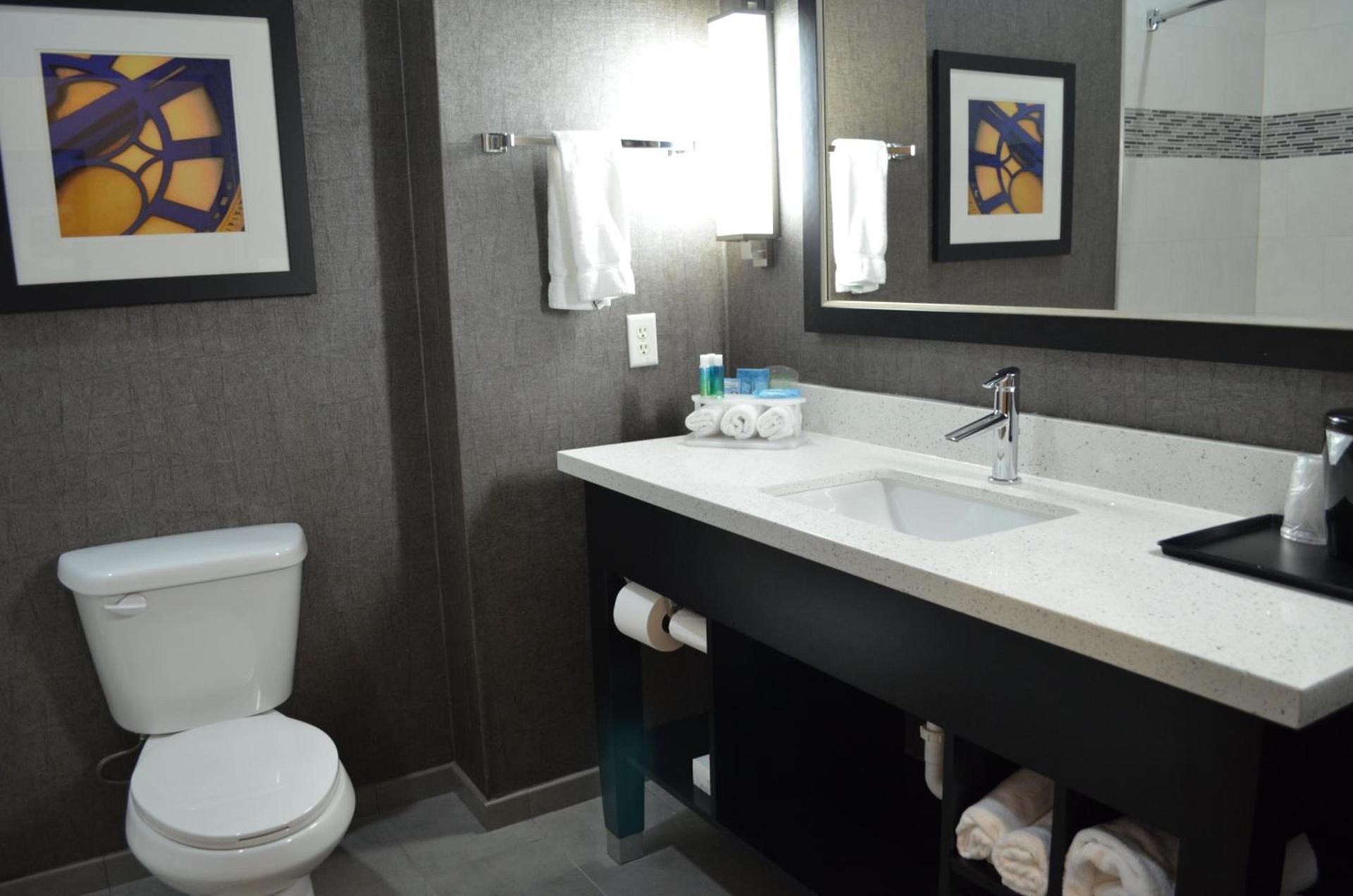 Holiday Inn Longview - North by IHG photo 45