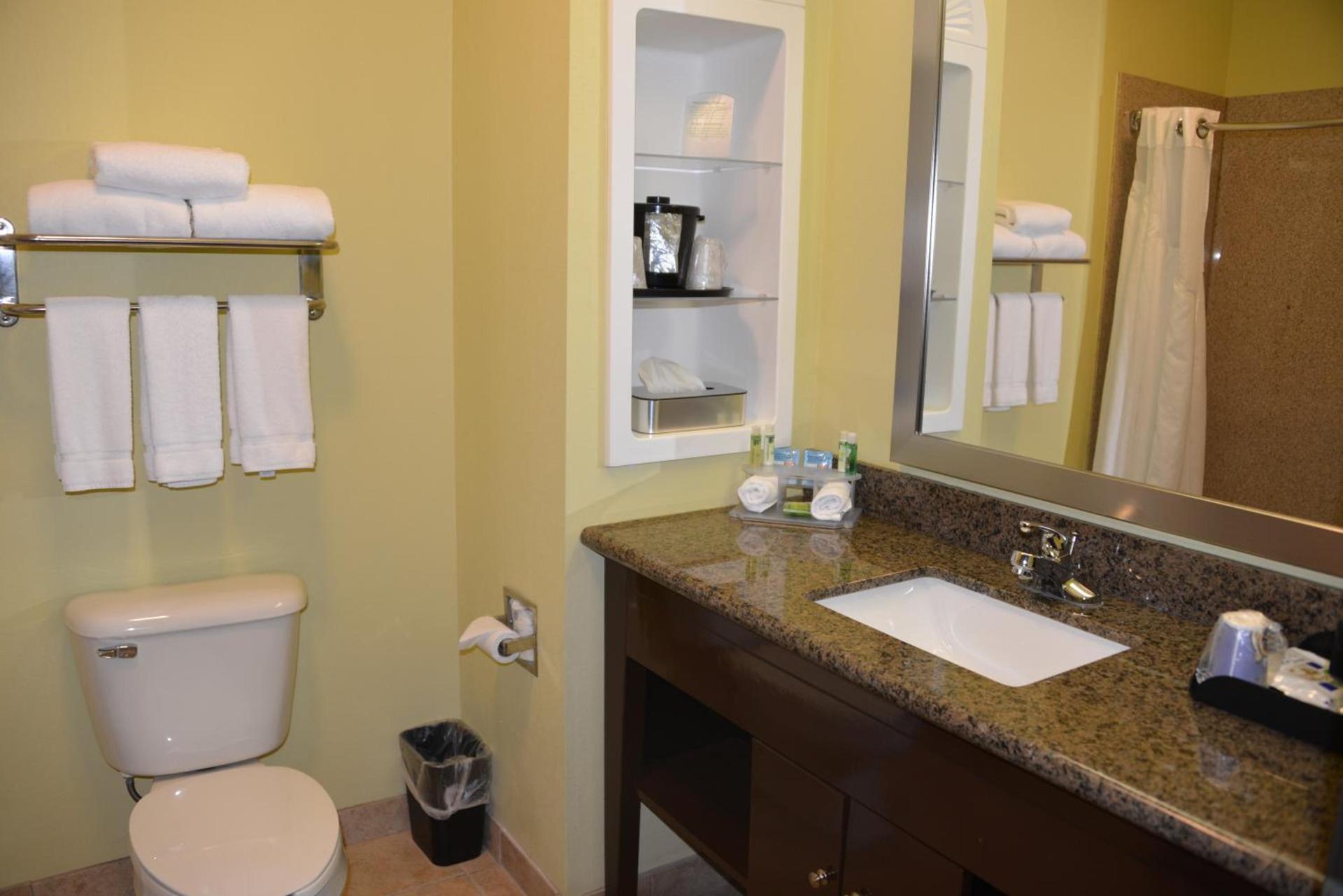 Holiday Inn Express Hotel & Suites Dumas by IHG photo 20