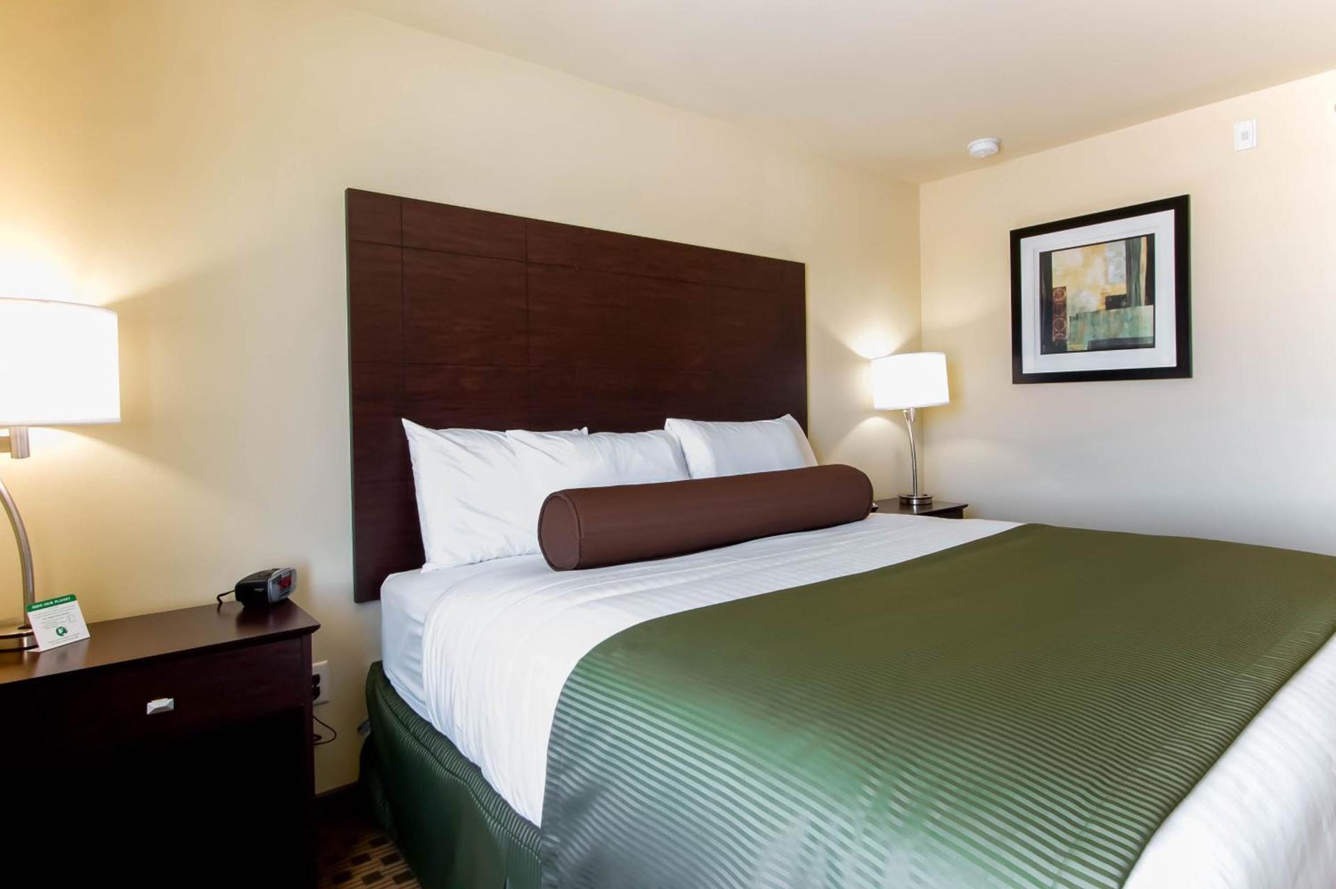 Cobblestone Inn & Suites - Eads photo 19
