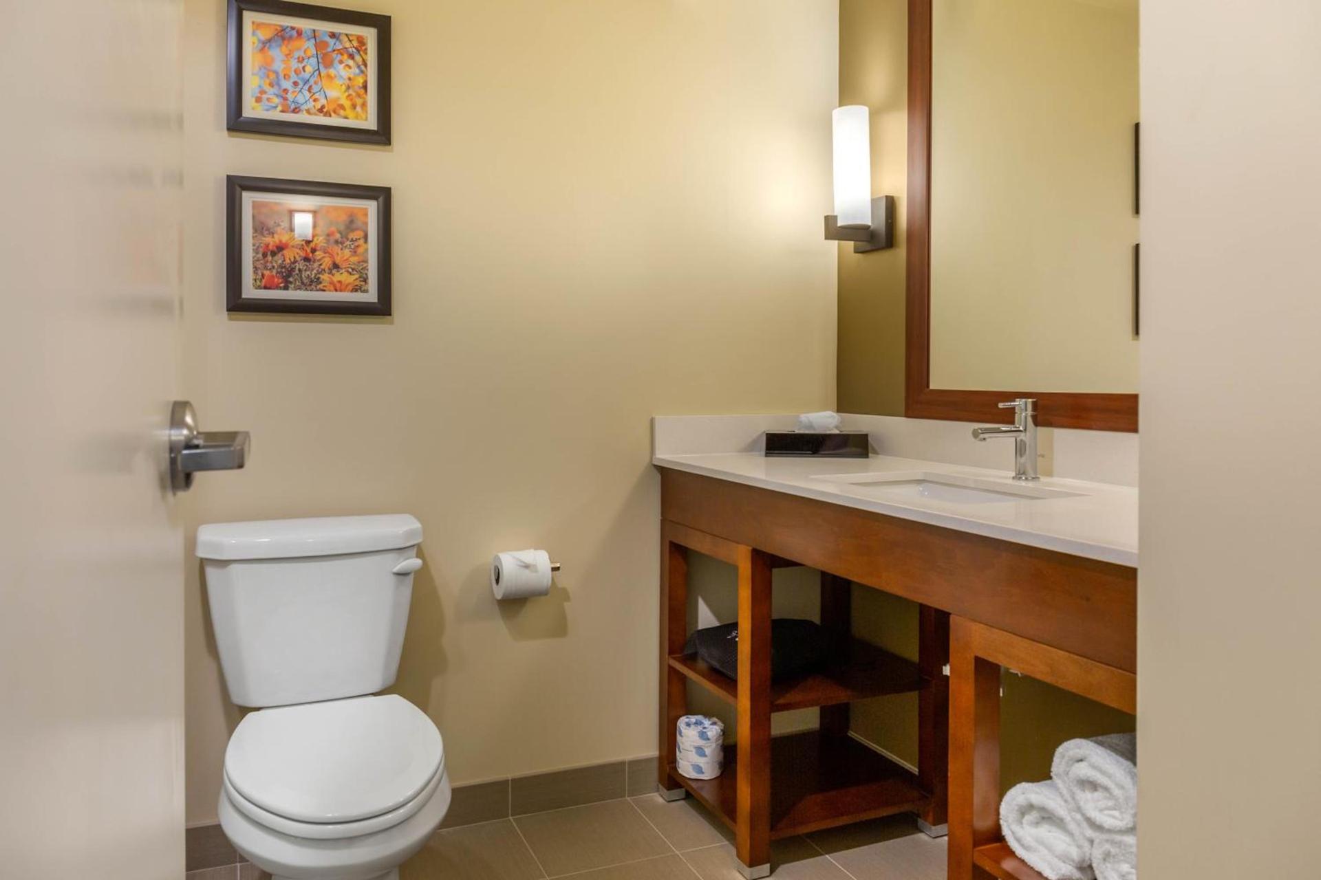 Comfort Inn & Suites Gap Amish Country photo 15