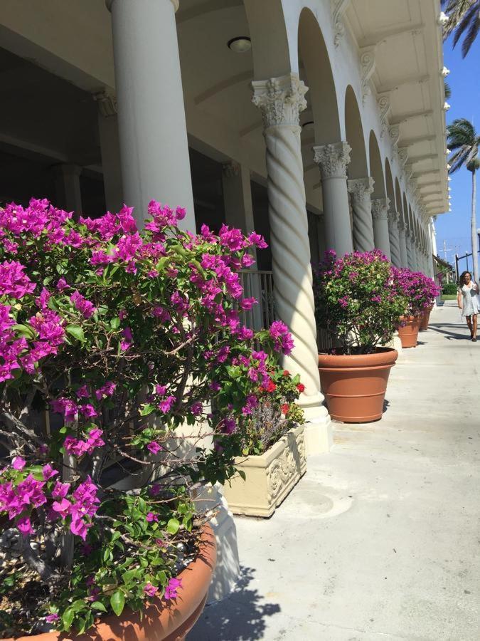Hemingway Suites at Palm Beach Hotel Island photo 39