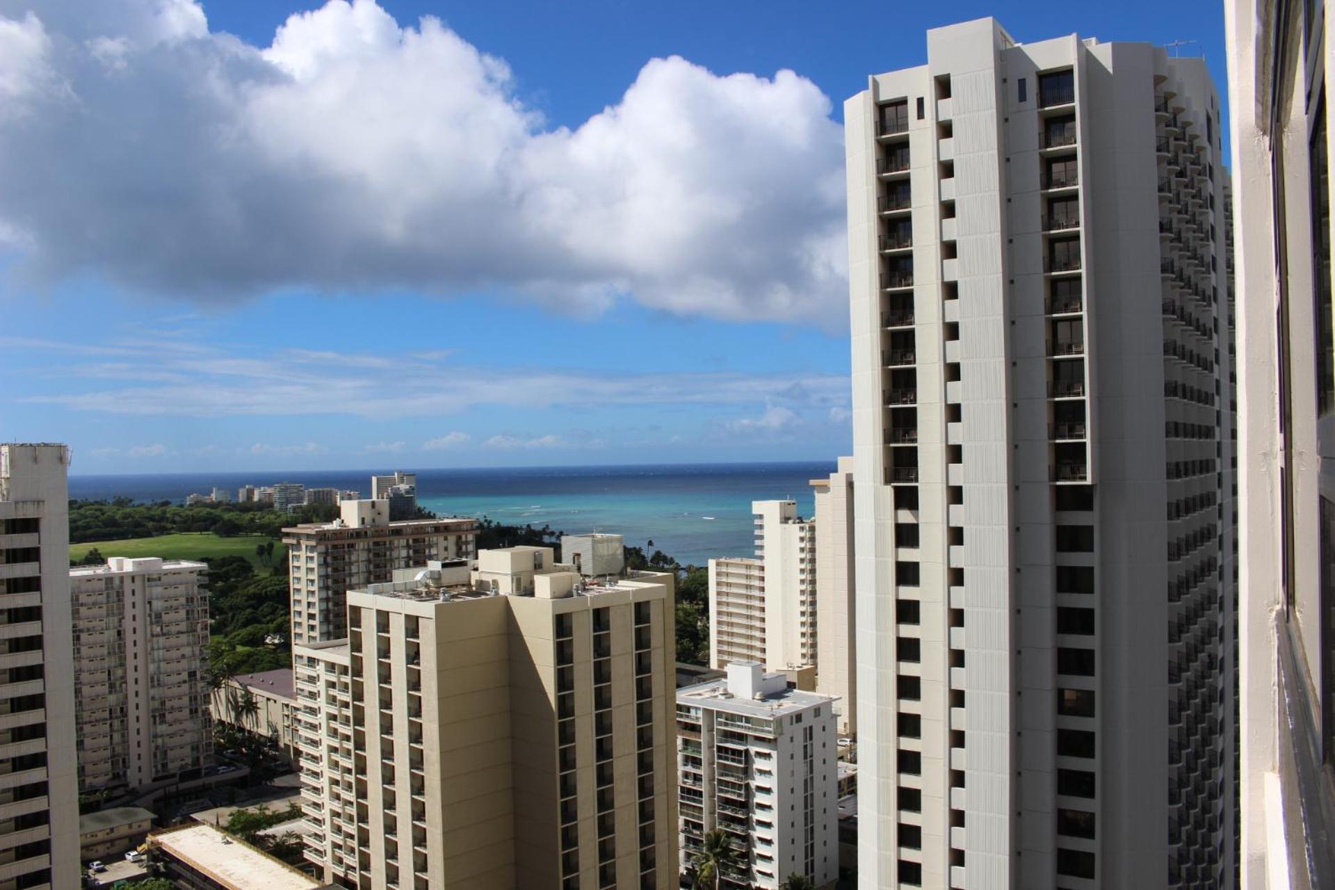 PonoAloha photo 81