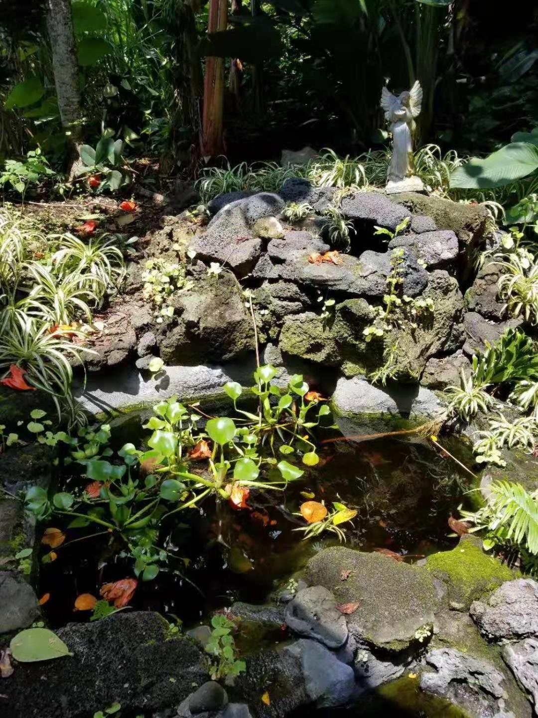 Volcano Forest Inn photo 35
