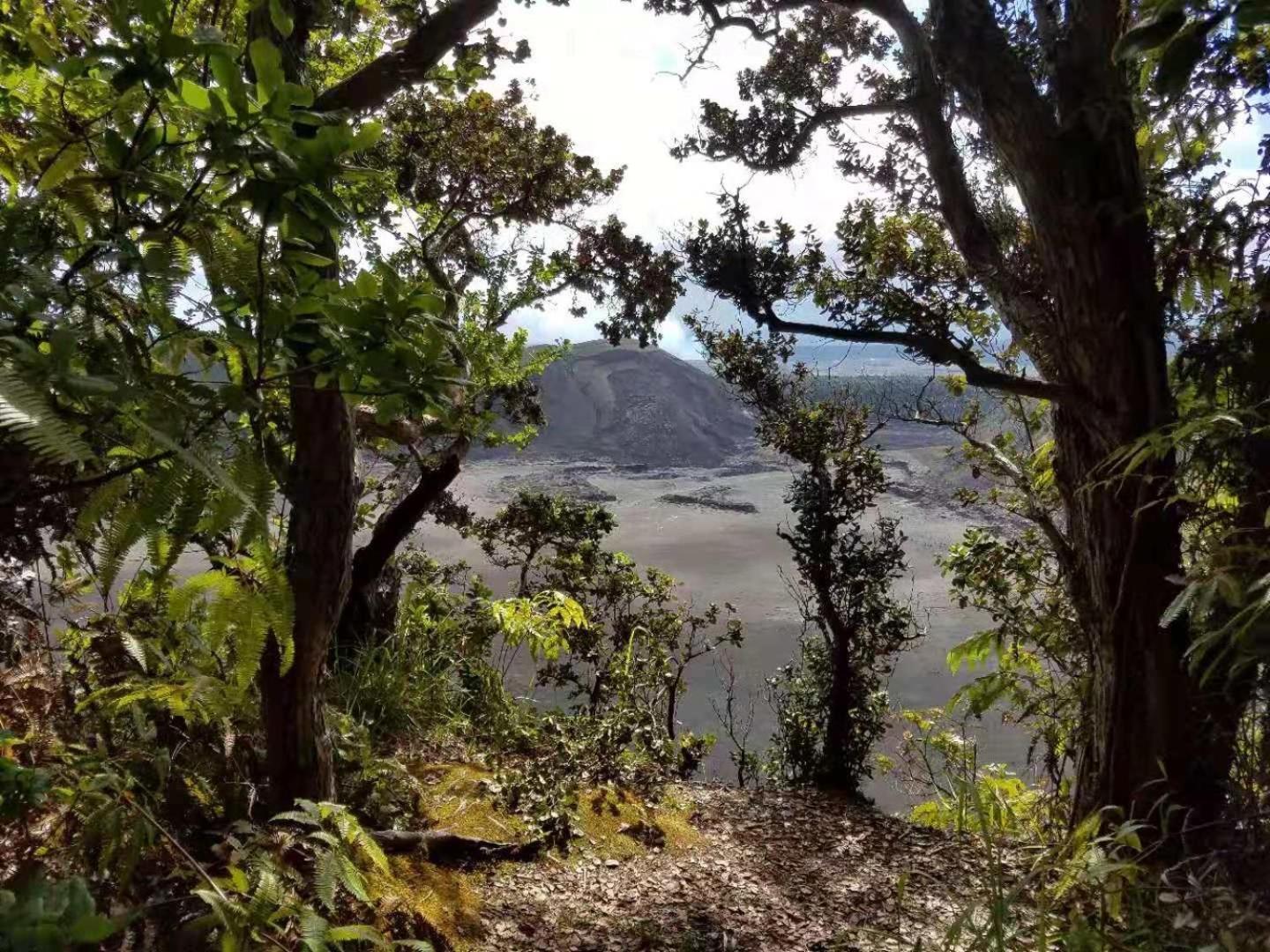 Volcano Forest Inn photo 39