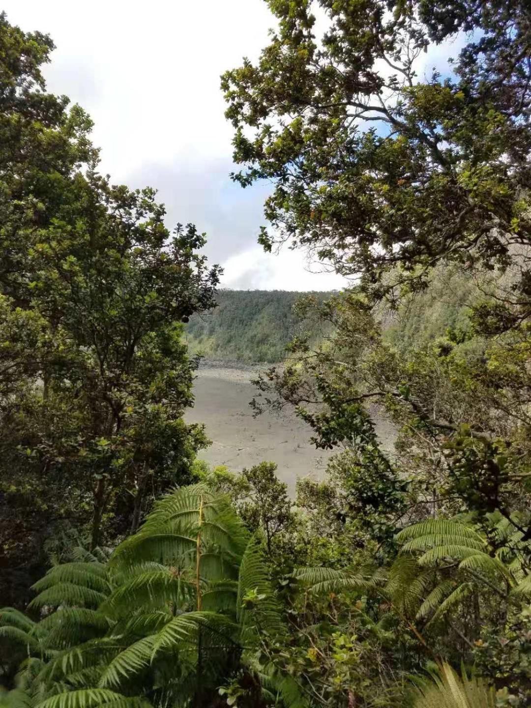 Volcano Forest Inn photo 43