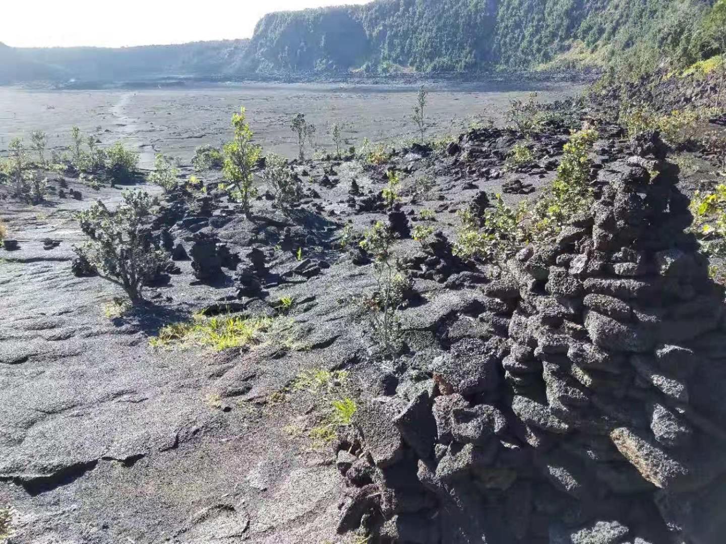 Volcano Forest Inn photo 44