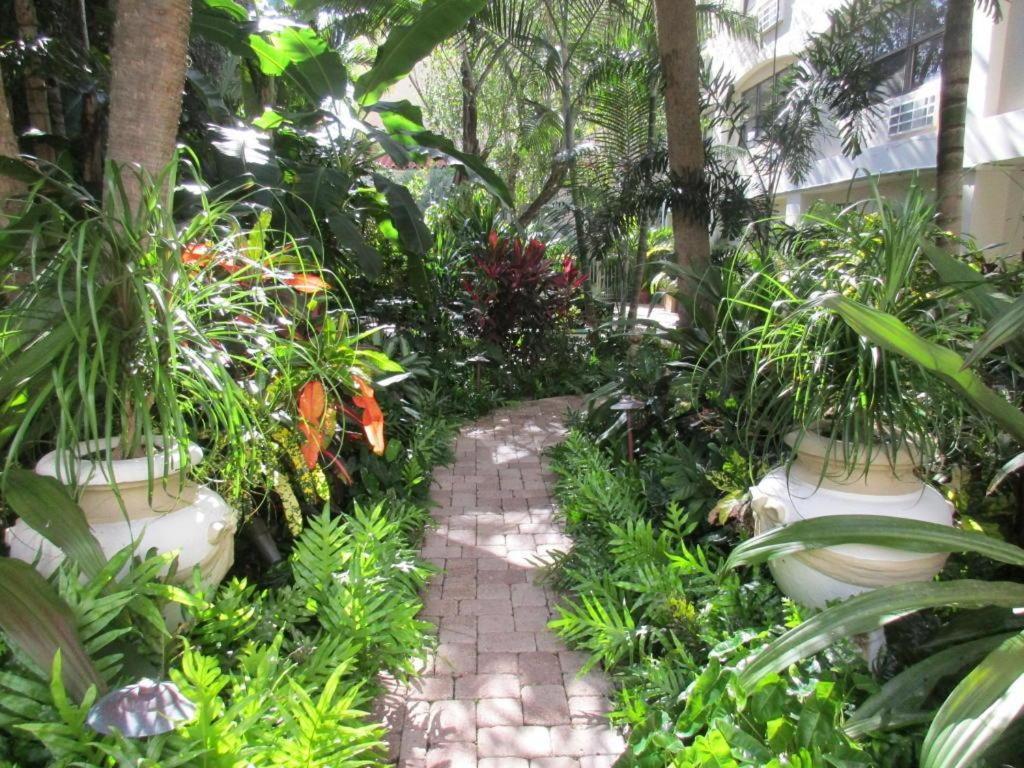 Hemingway Suites at Palm Beach Hotel Island photo 19