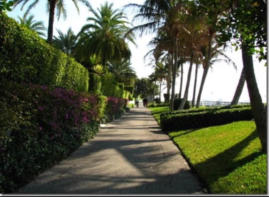 Hemingway Suites at Palm Beach Hotel Island photo 51