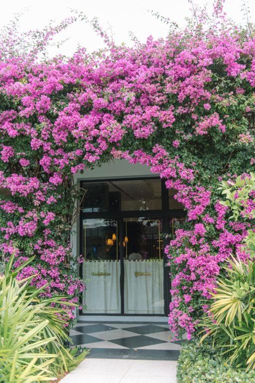 Hemingway Suites at Palm Beach Hotel Island photo 61