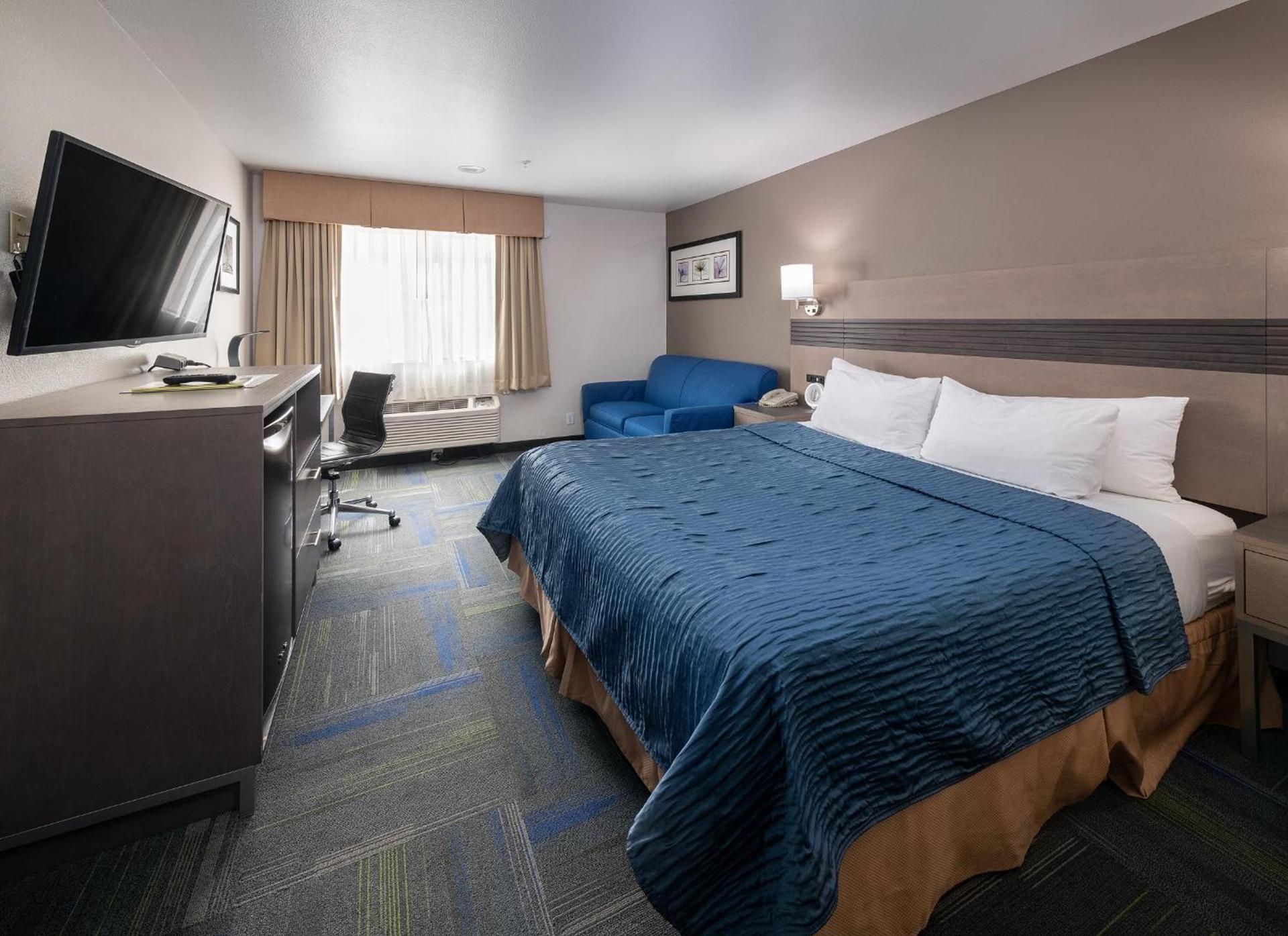 Buena Vista Motor Inn photo 6
