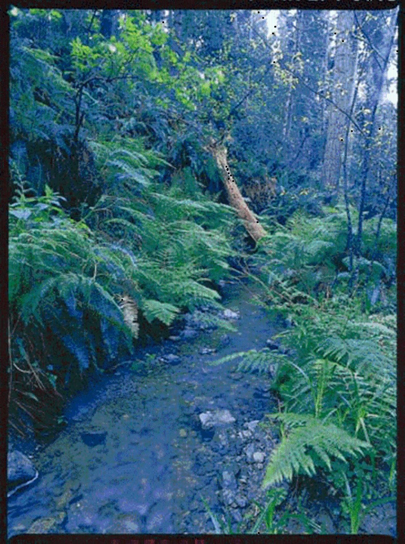 Inn at Schoolhouse Creek photo 49