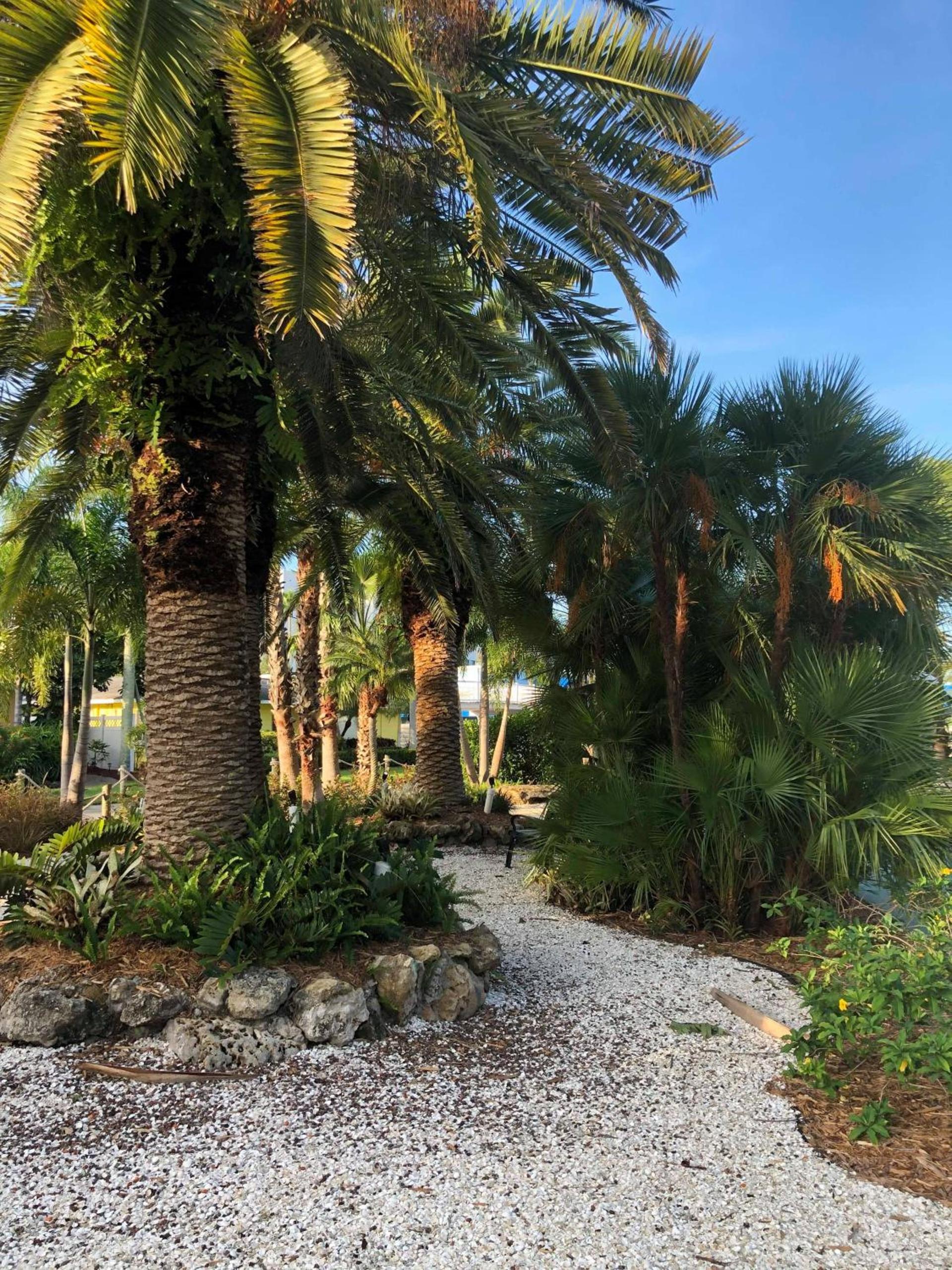 Captiva Beach Resort (open private beach access) photo 20