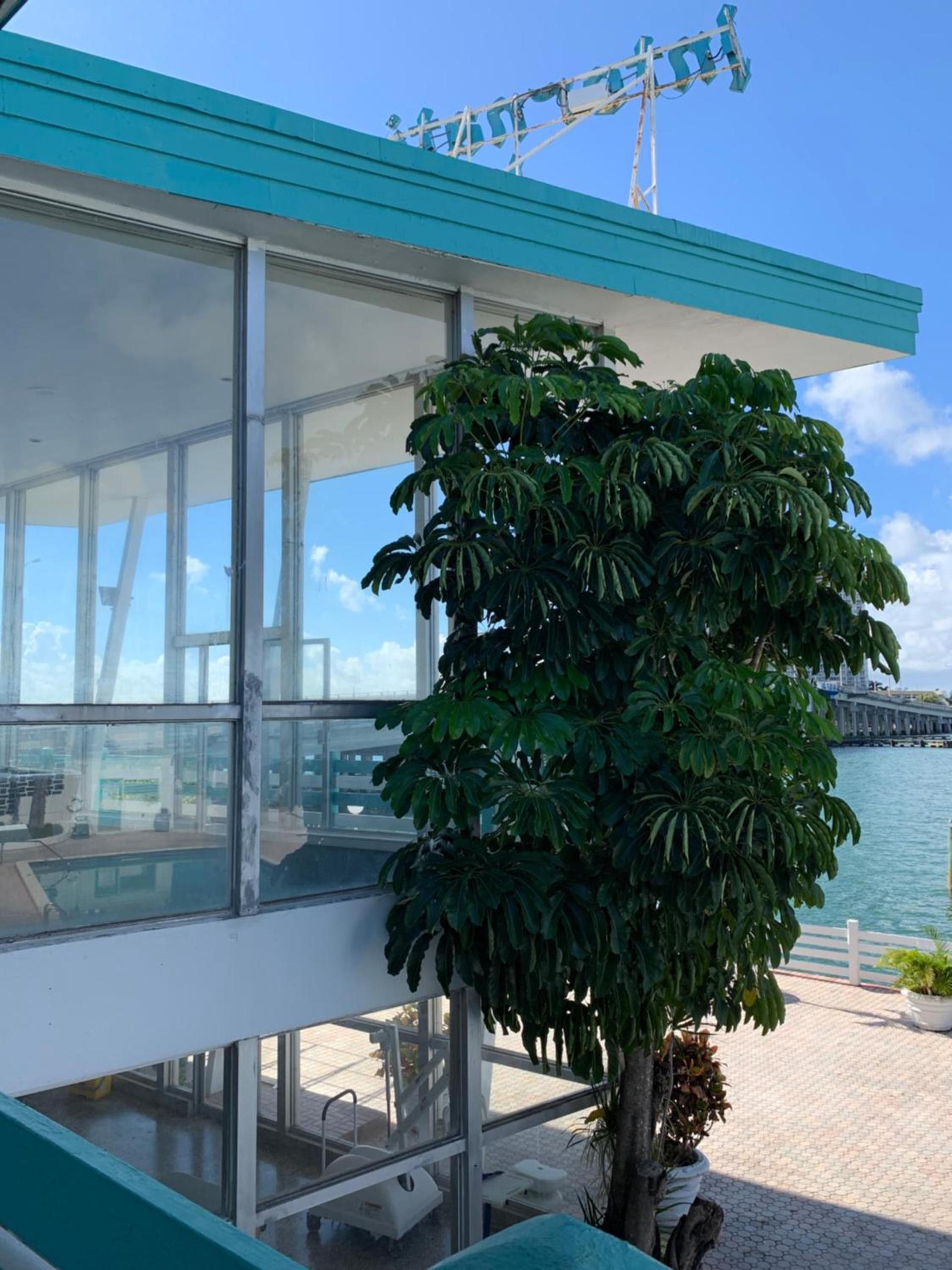 International Inn on the Bay photo 18