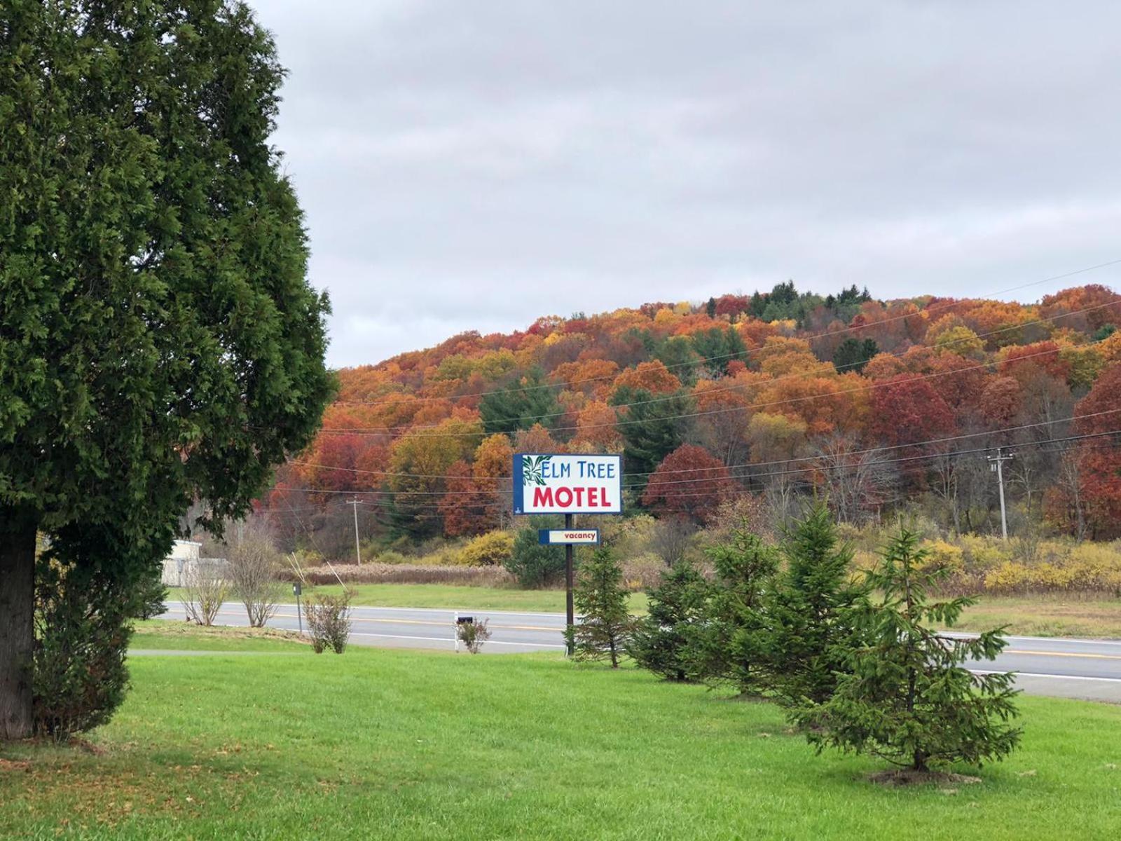 Elm Tree Motel photo 22