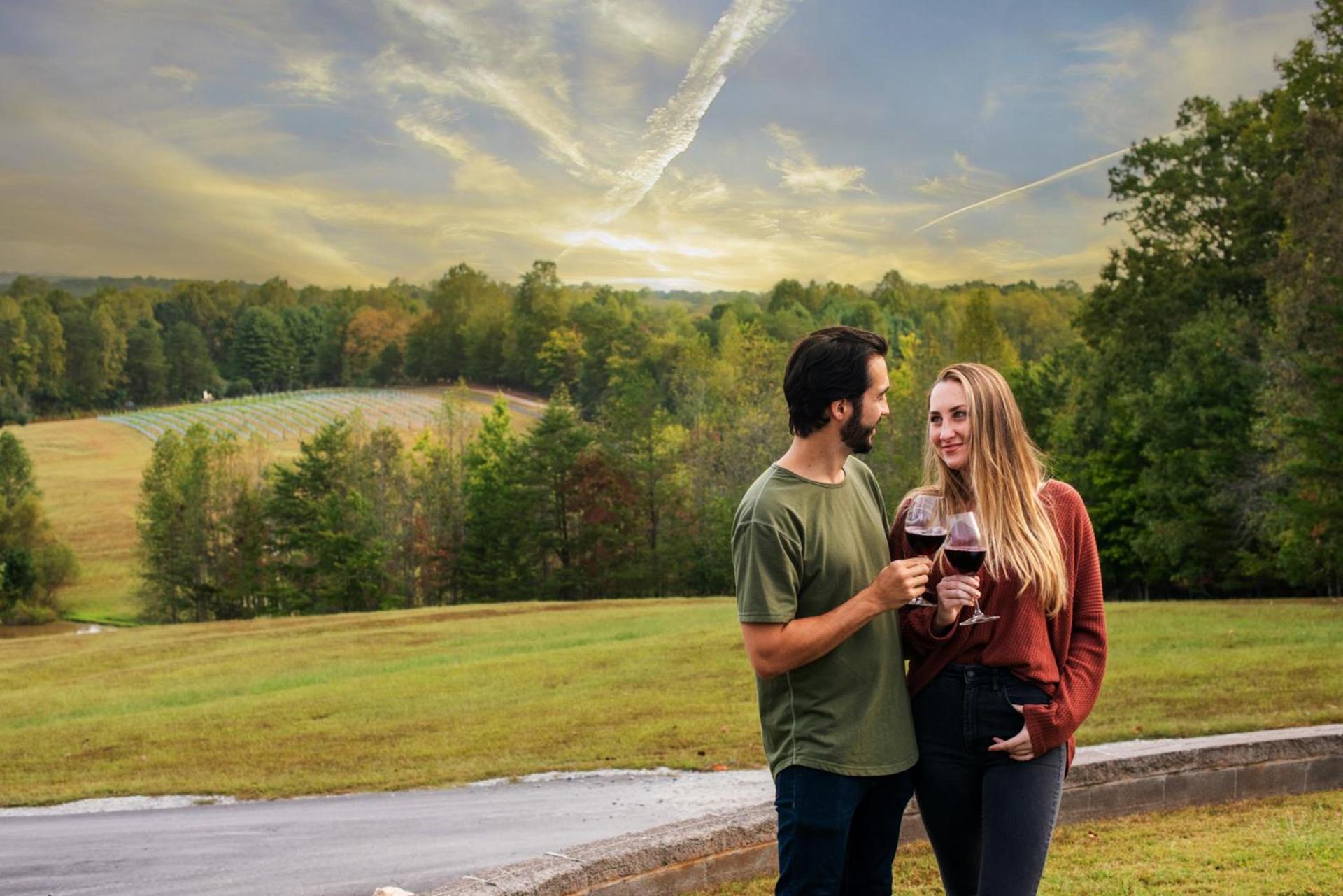 Dahlonega Resort and Vineyard photo 7