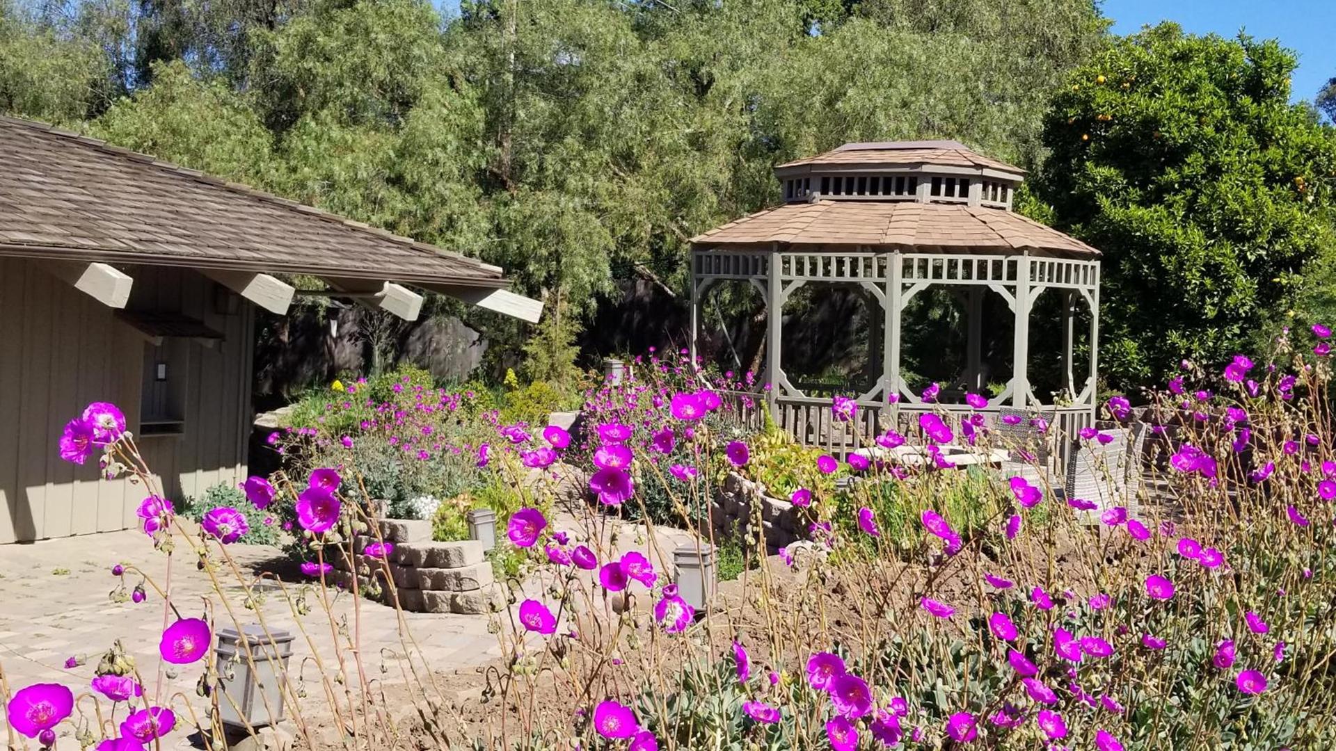 Carmel Valley Lodge photo 14