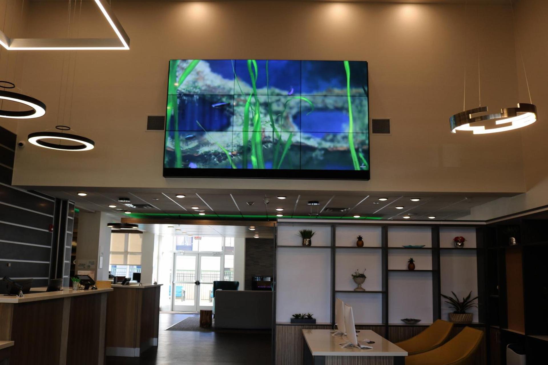Holiday Inn - Jonesboro by IHG photo 5