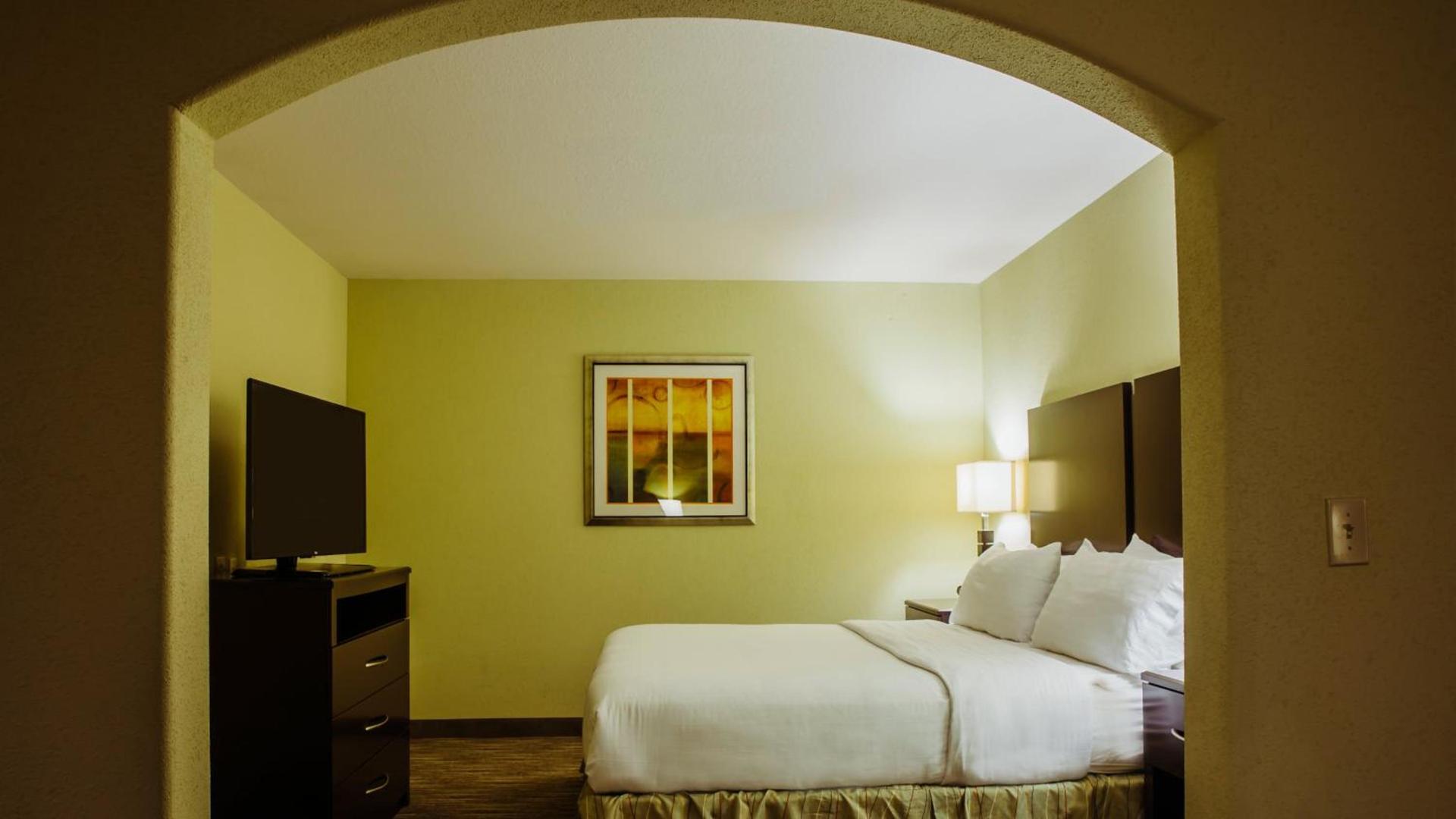 Holiday Inn Express Hotel & Suites Waller by IHG photo 26