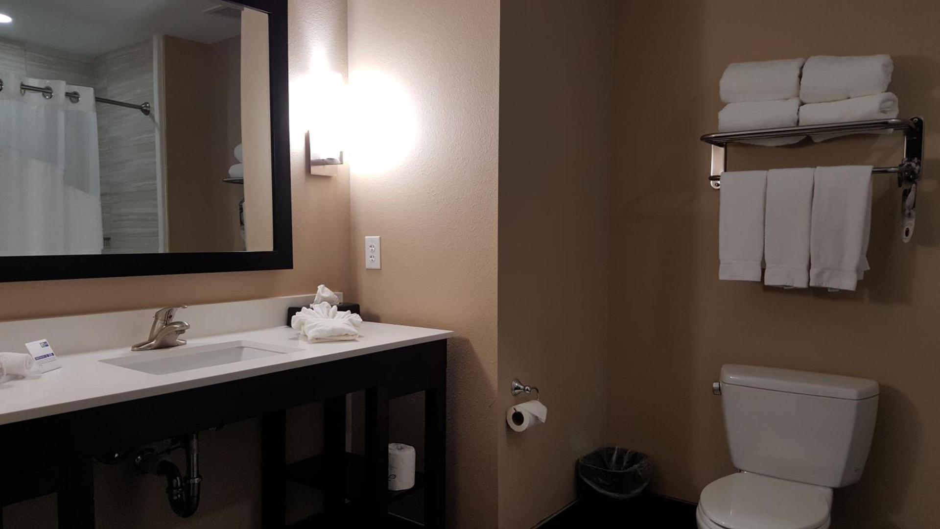 Holiday Inn Express and Suites Atascocita - Humble - Kingwood by IHG photo 14