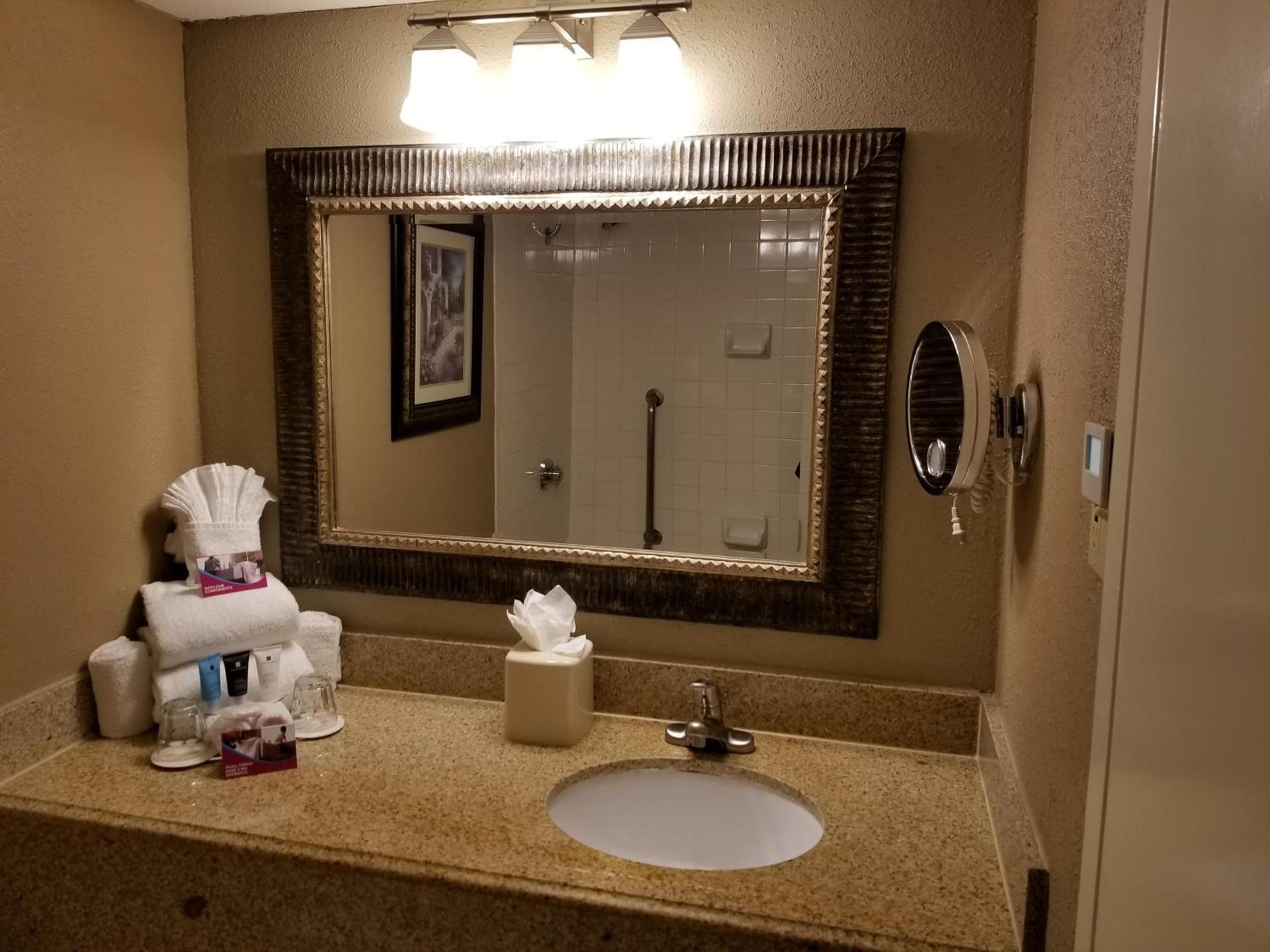 Wyndham Houston near NRG Park - Medical Center photo 21