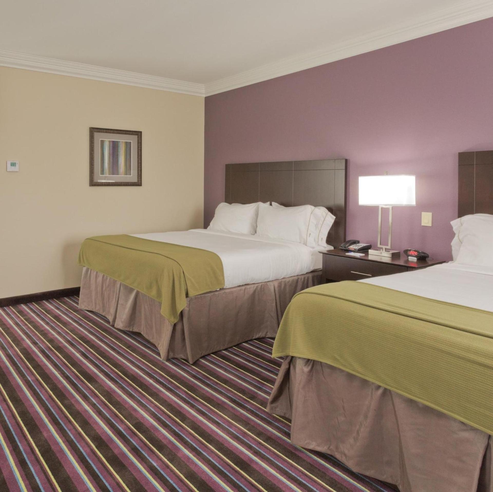 Holiday Inn Express & Suites Raceland - Highway 90 by IHG photo 8