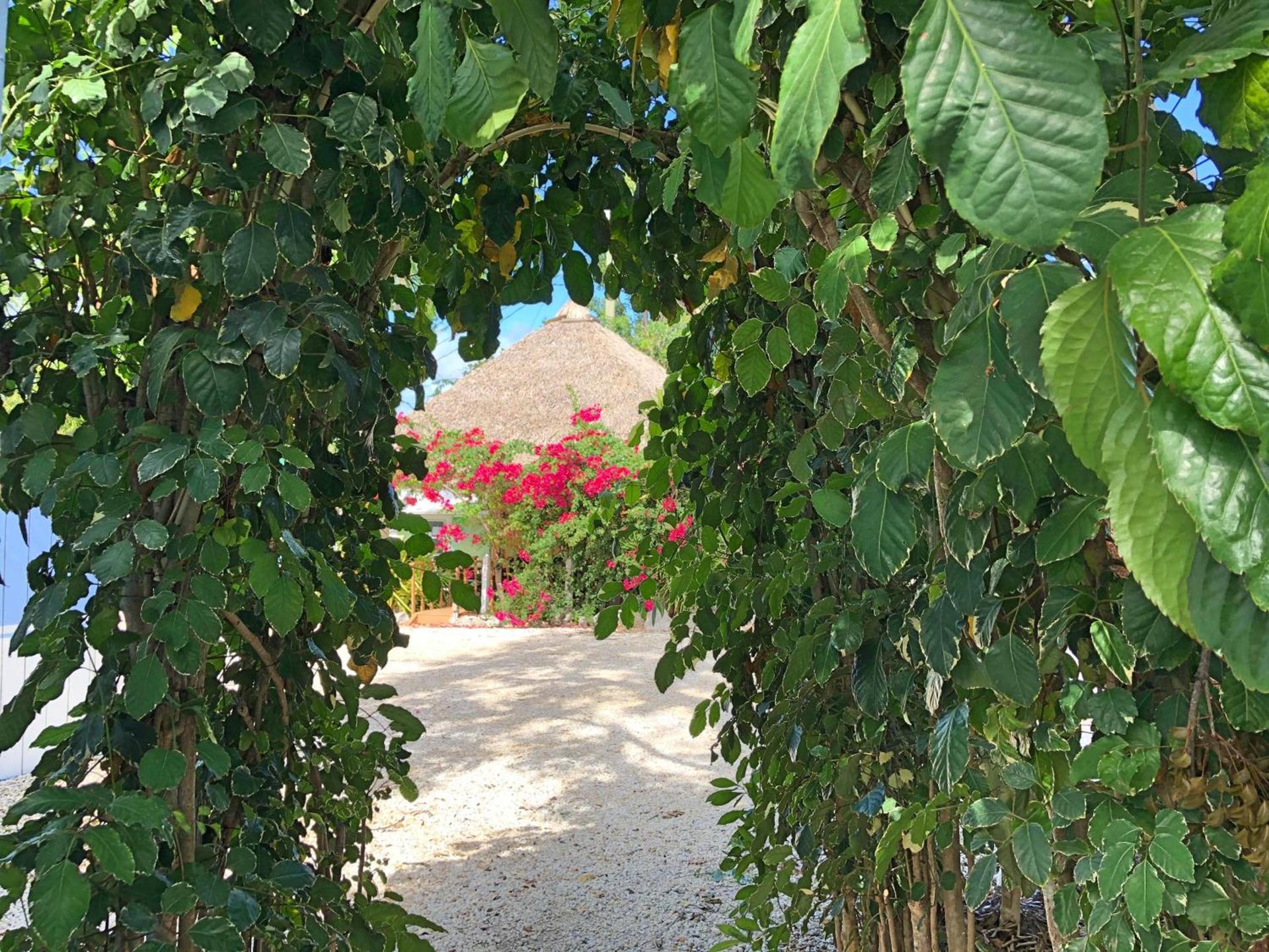 The Pelican Key Largo Cottages photo 21