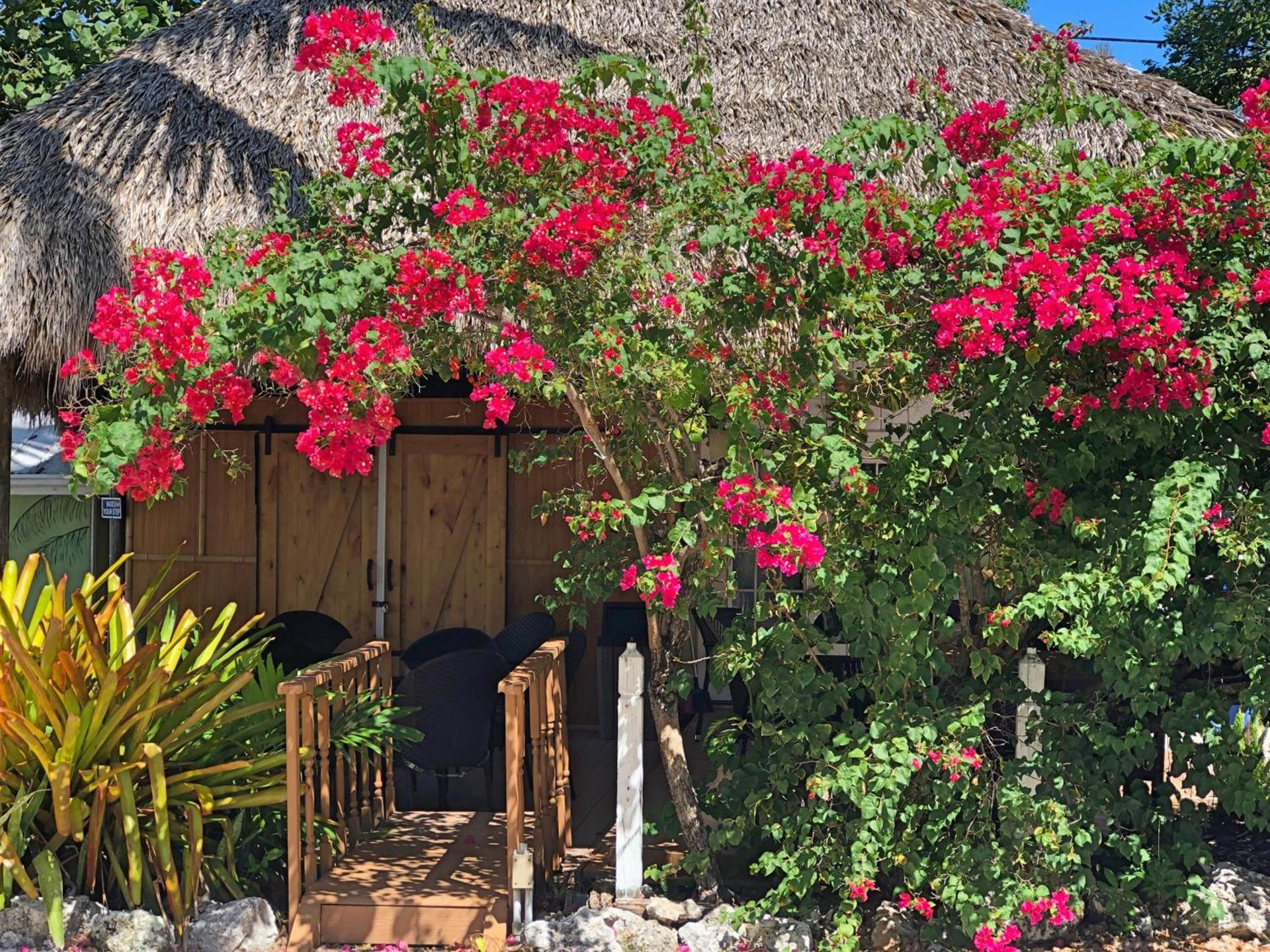 The Pelican Key Largo Cottages photo 22