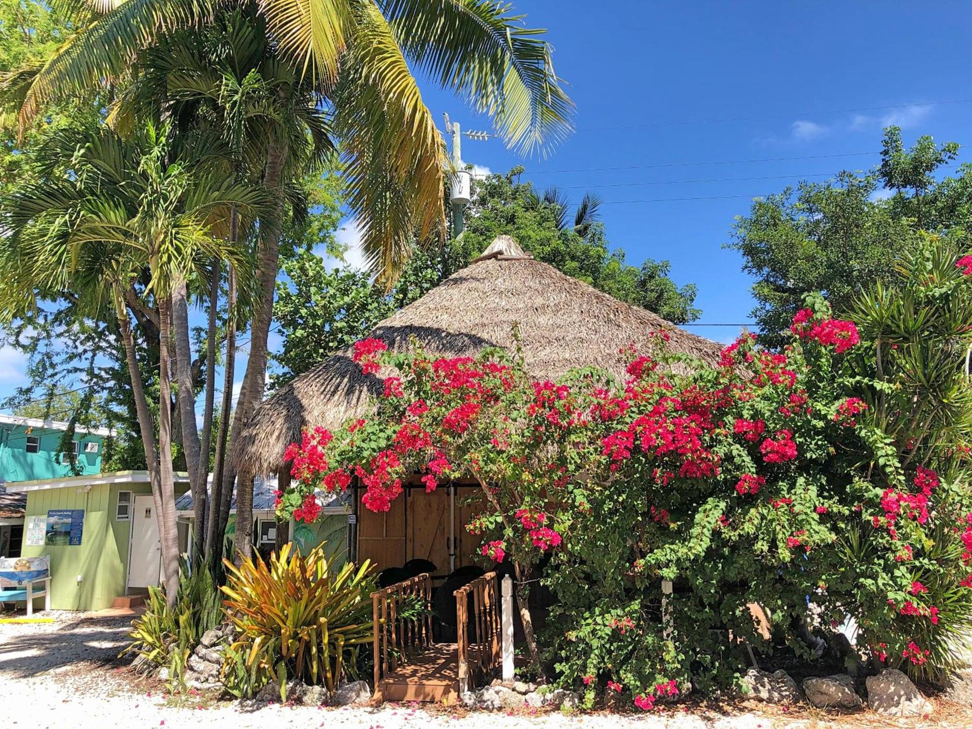 The Pelican Key Largo Cottages photo 5