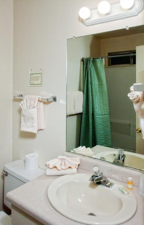 June Lake Motel photo 53