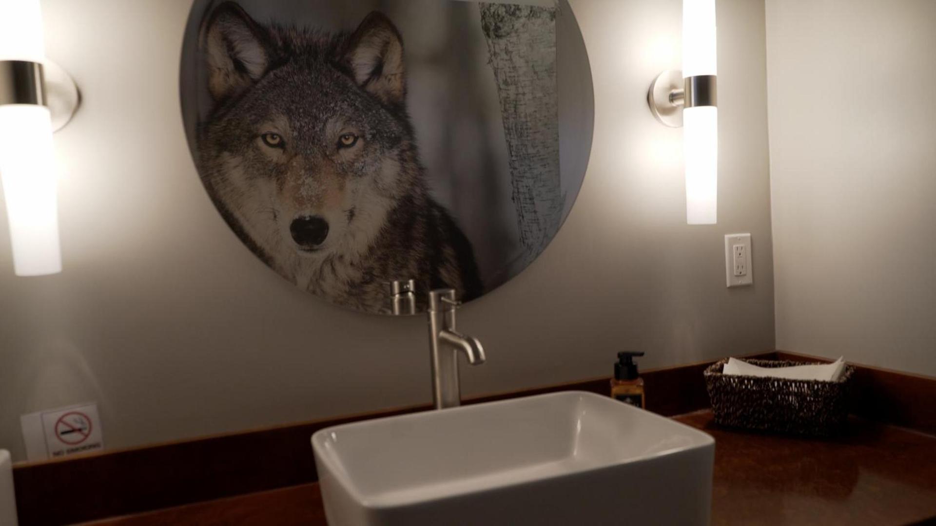 Dreamcatcher Tipi Hotel photo 14