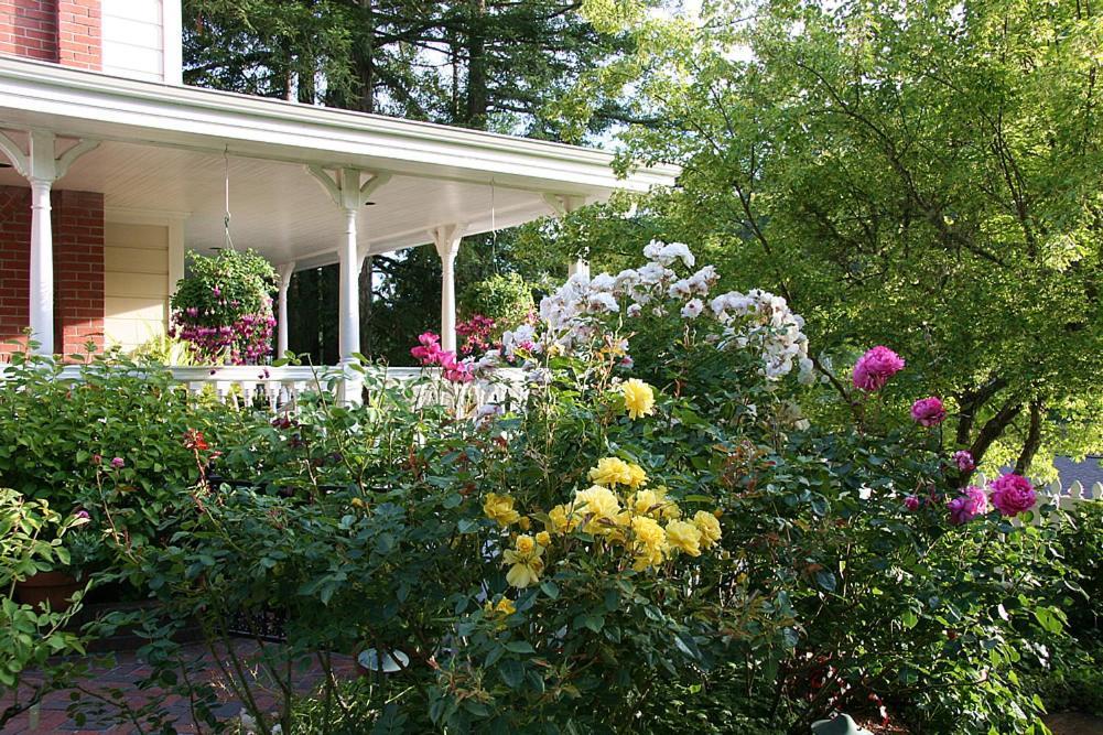 Inn at Occidental photo 10