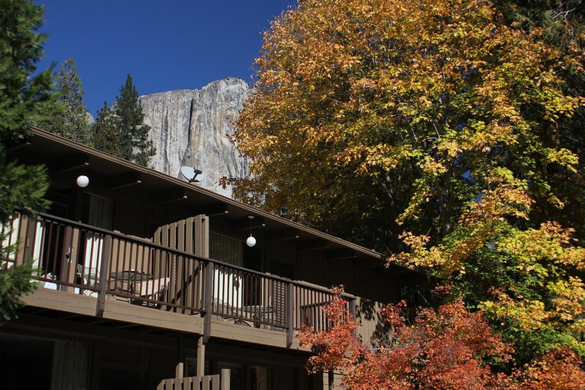 Yosemite Valley Lodge photo 10