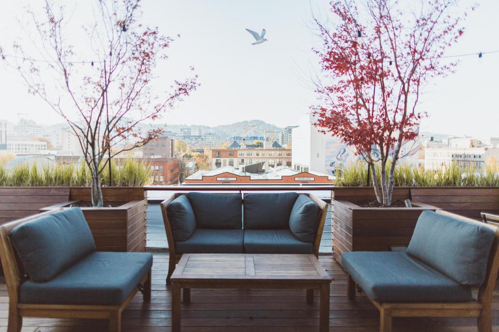 The Society Hotel photo 8