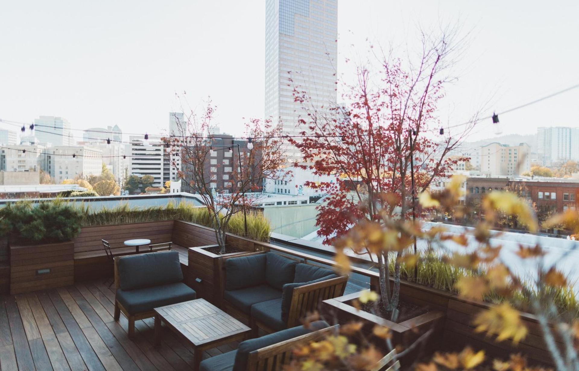 The Society Hotel photo 9