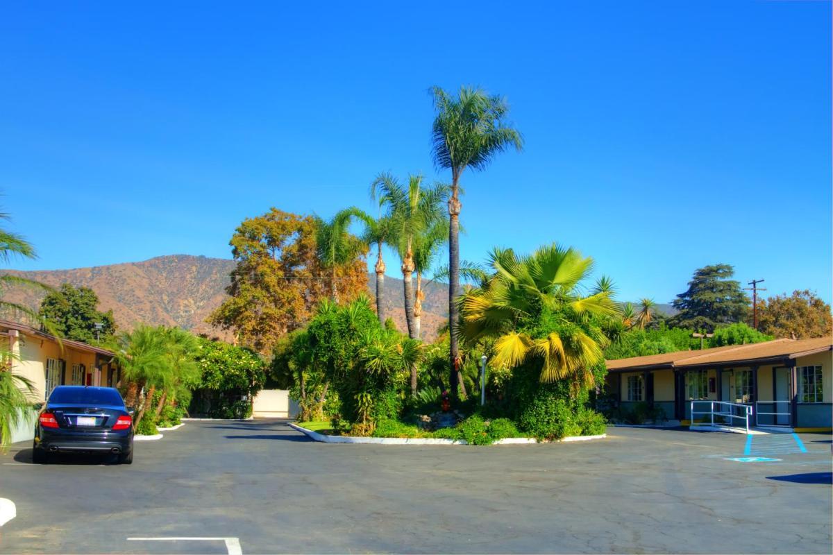 Palm Tropics Motel photo 9