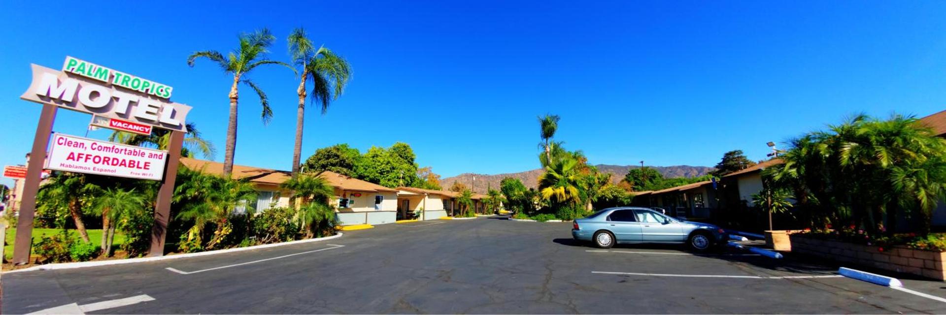Palm Tropics Motel photo 8