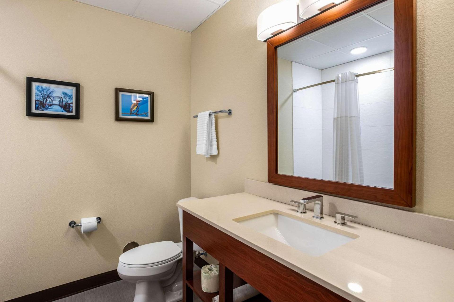 Comfort Inn & Suites Ames near ISU Campus photo 15