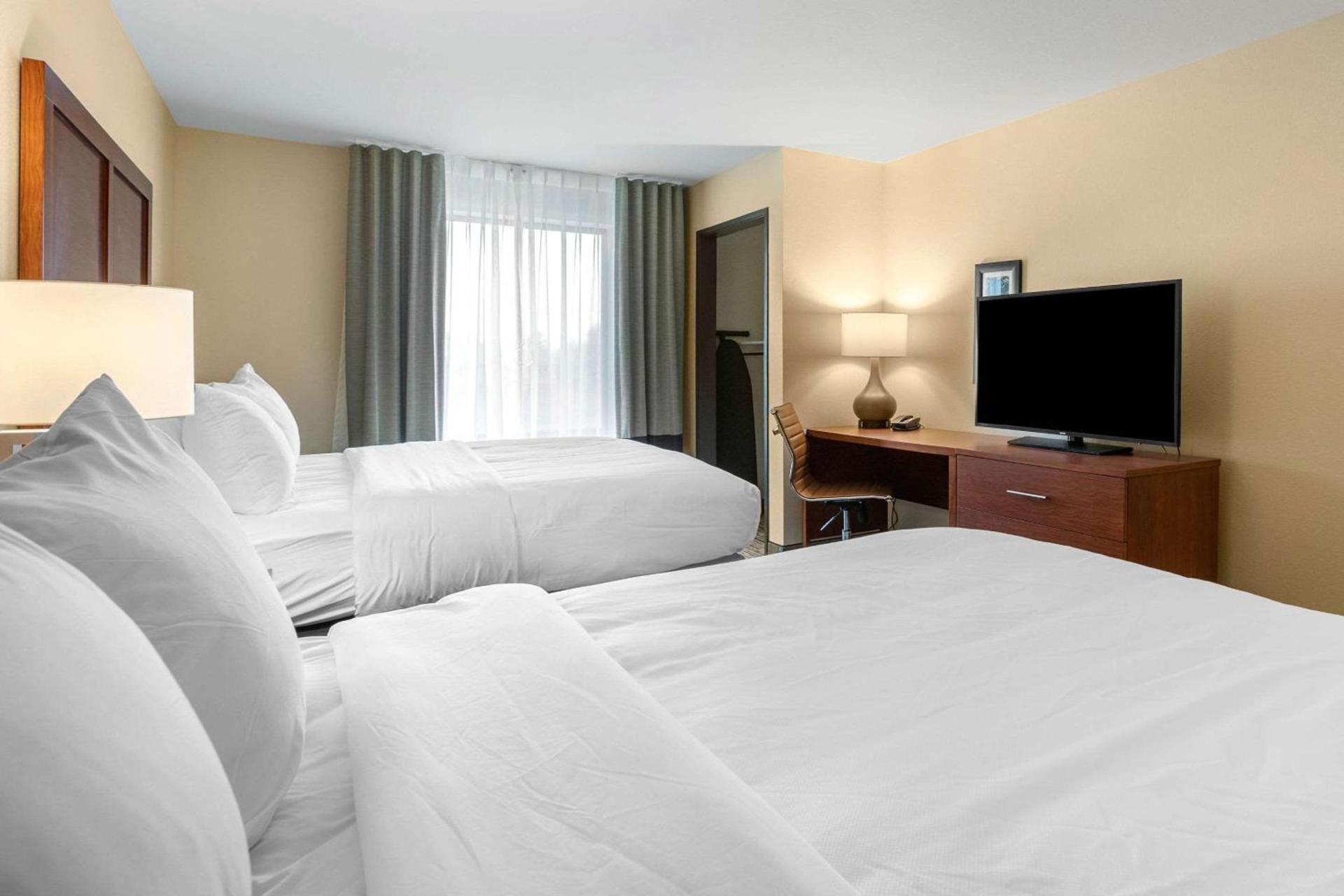 Comfort Inn & Suites Ames near ISU Campus photo 8