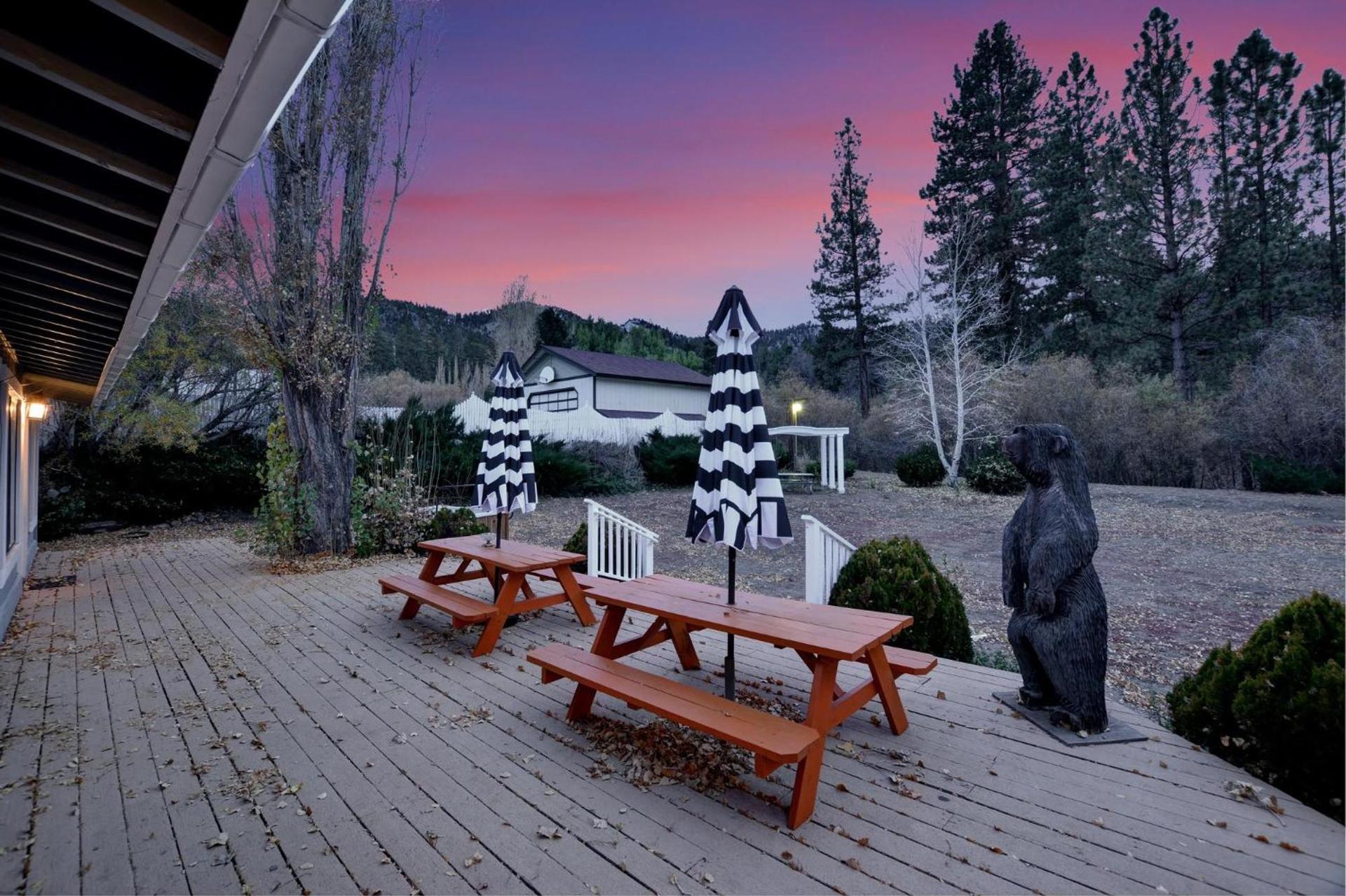 Dreamwood Lodge photo 3