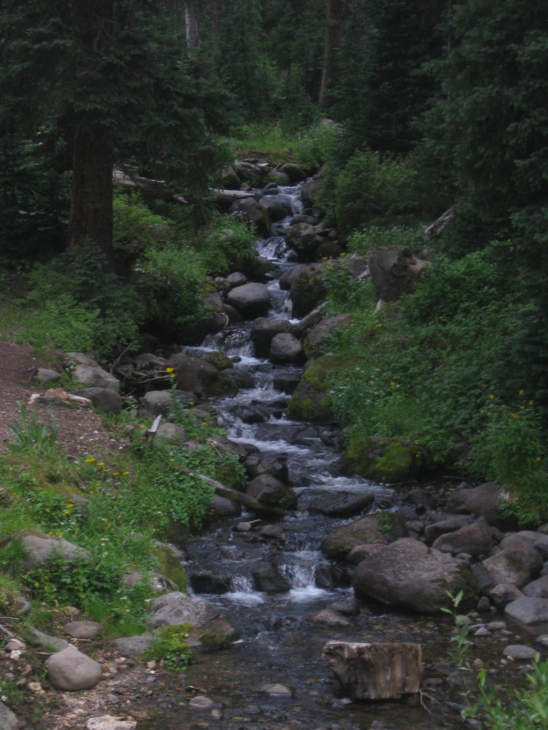 Alpine Inn photo 29