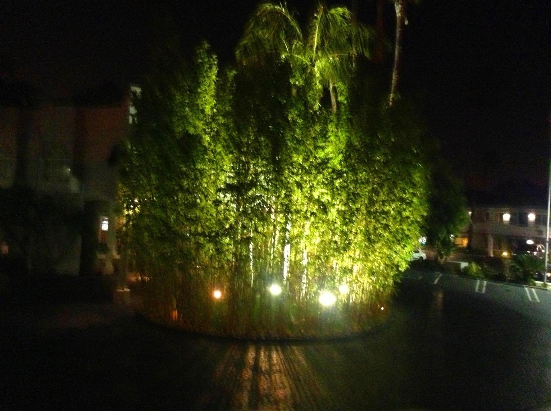 Hotel Current photo 16